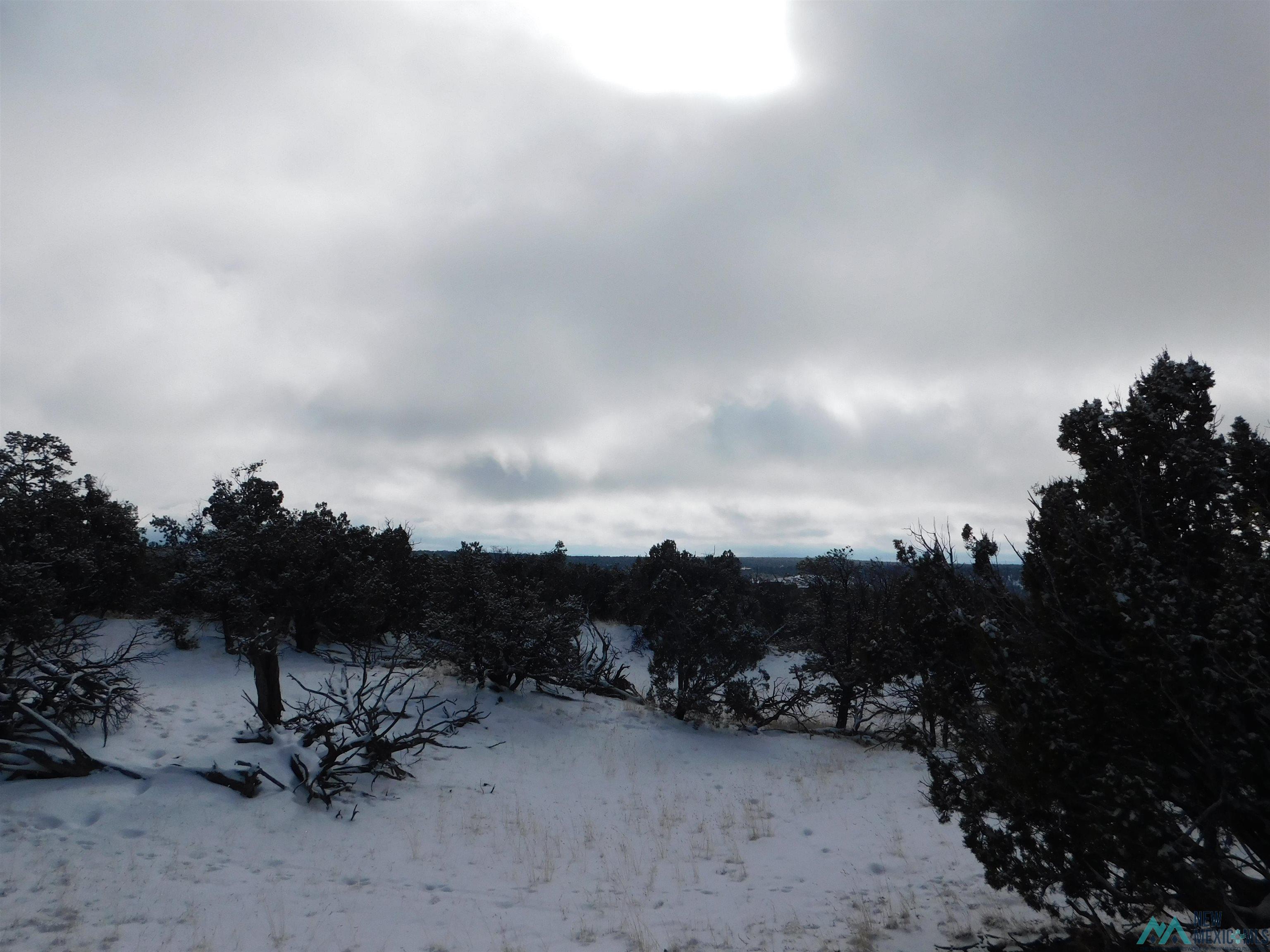 LOT 70 Creekside Drive, Quemado, New Mexico image 11