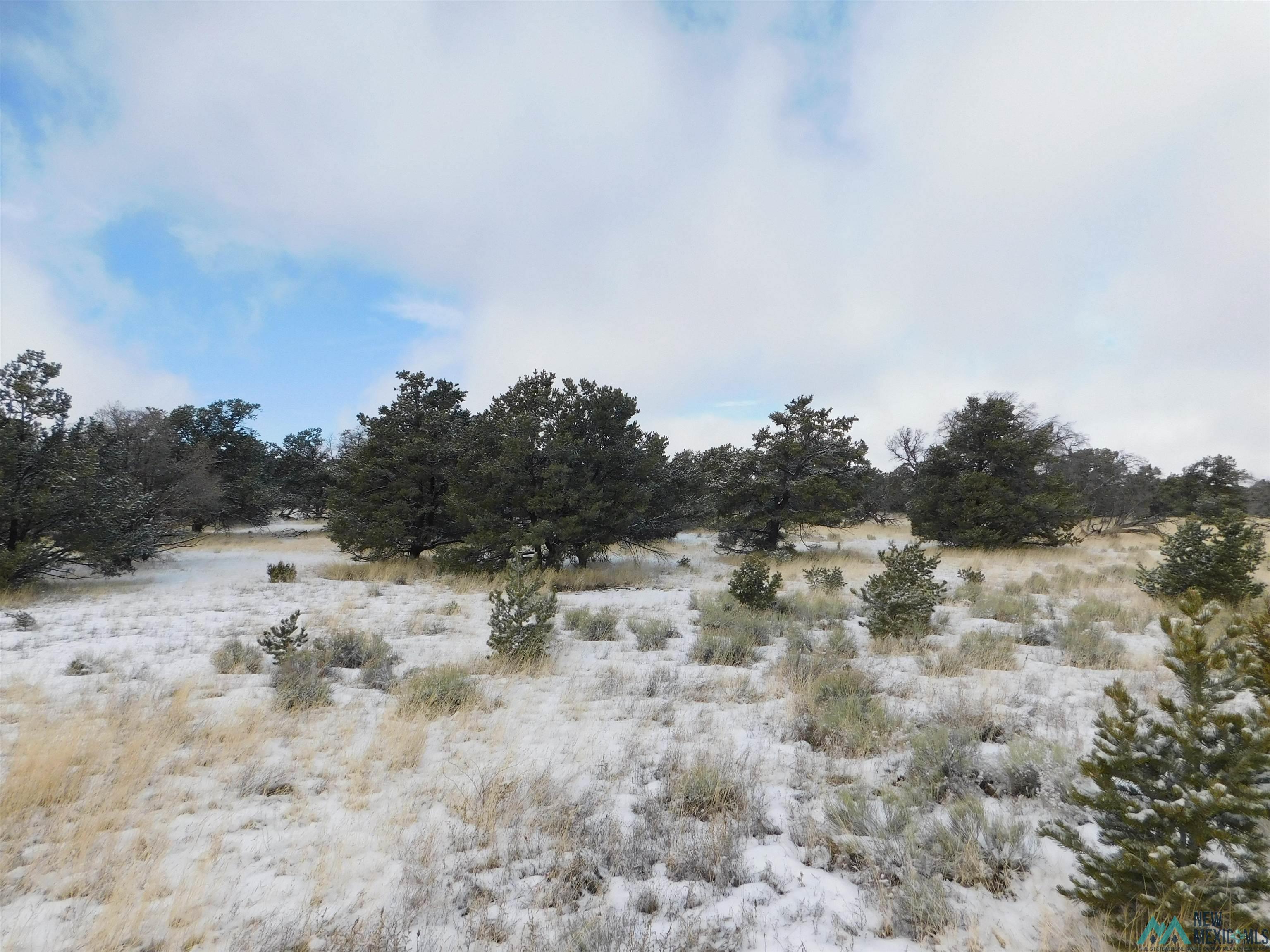 LOT 70 Creekside Drive, Quemado, New Mexico image 2