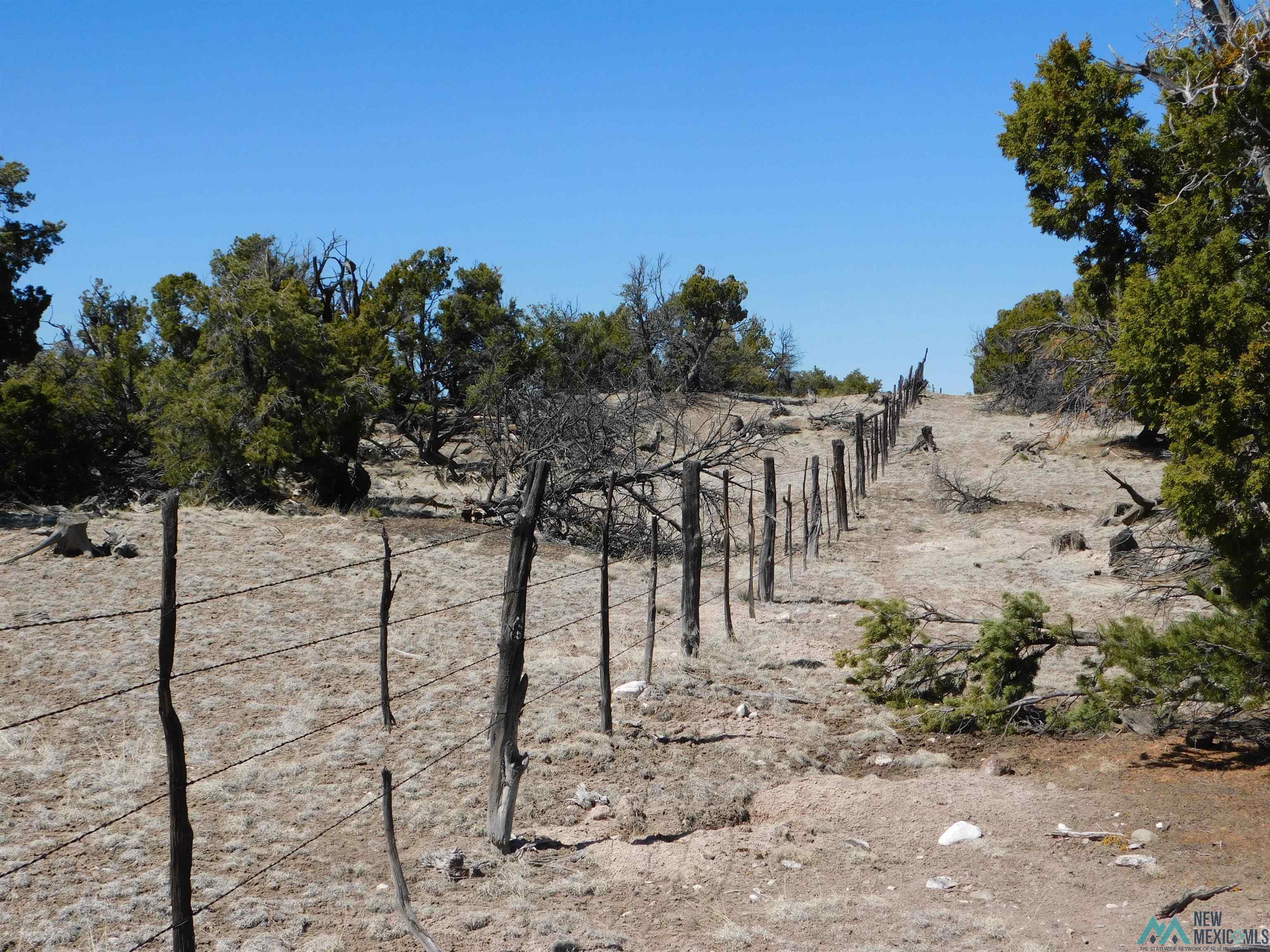 LOT 70 Creekside Drive, Quemado, New Mexico image 3