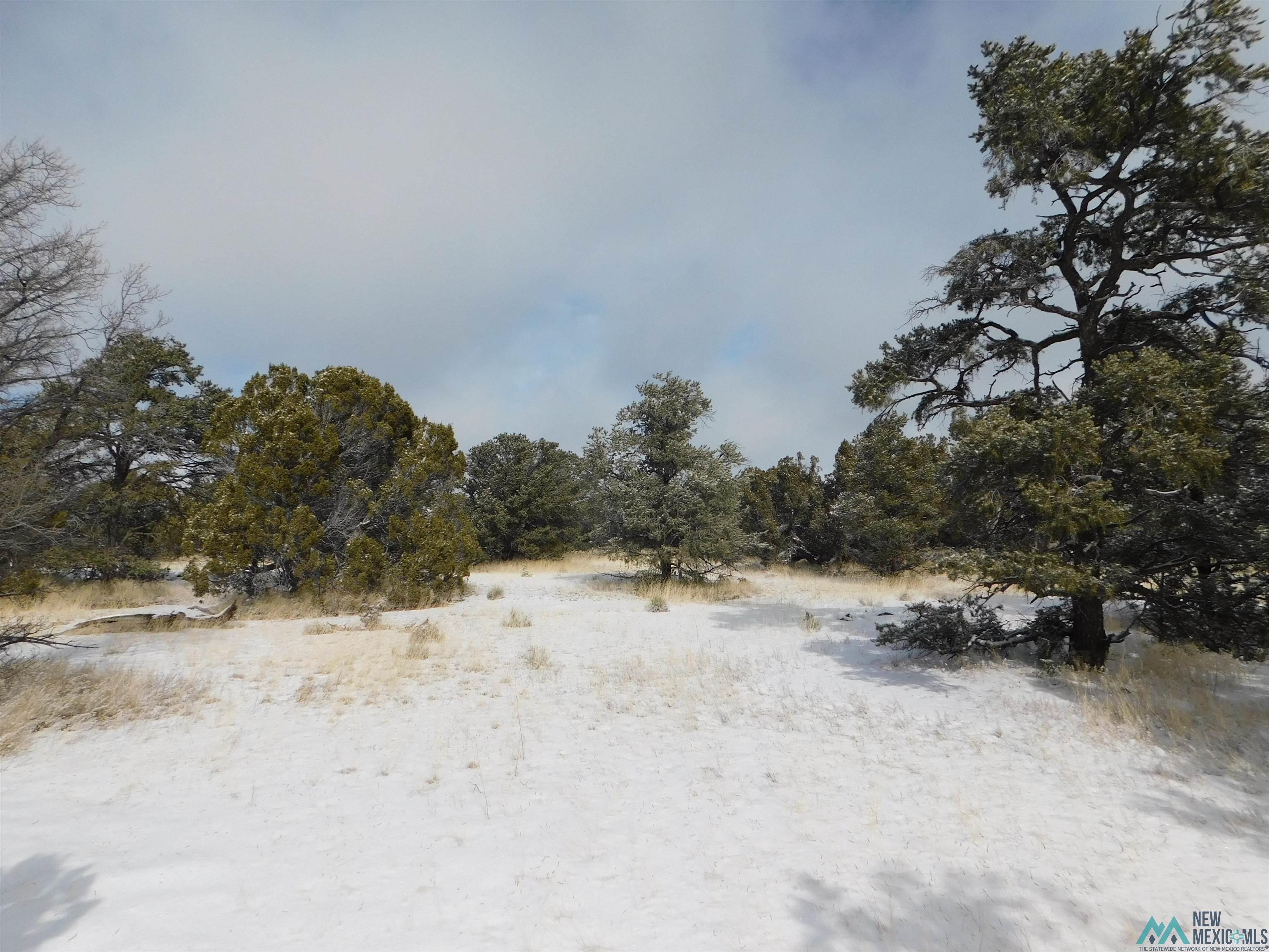 LOT 70 Creekside Drive, Quemado, New Mexico image 6