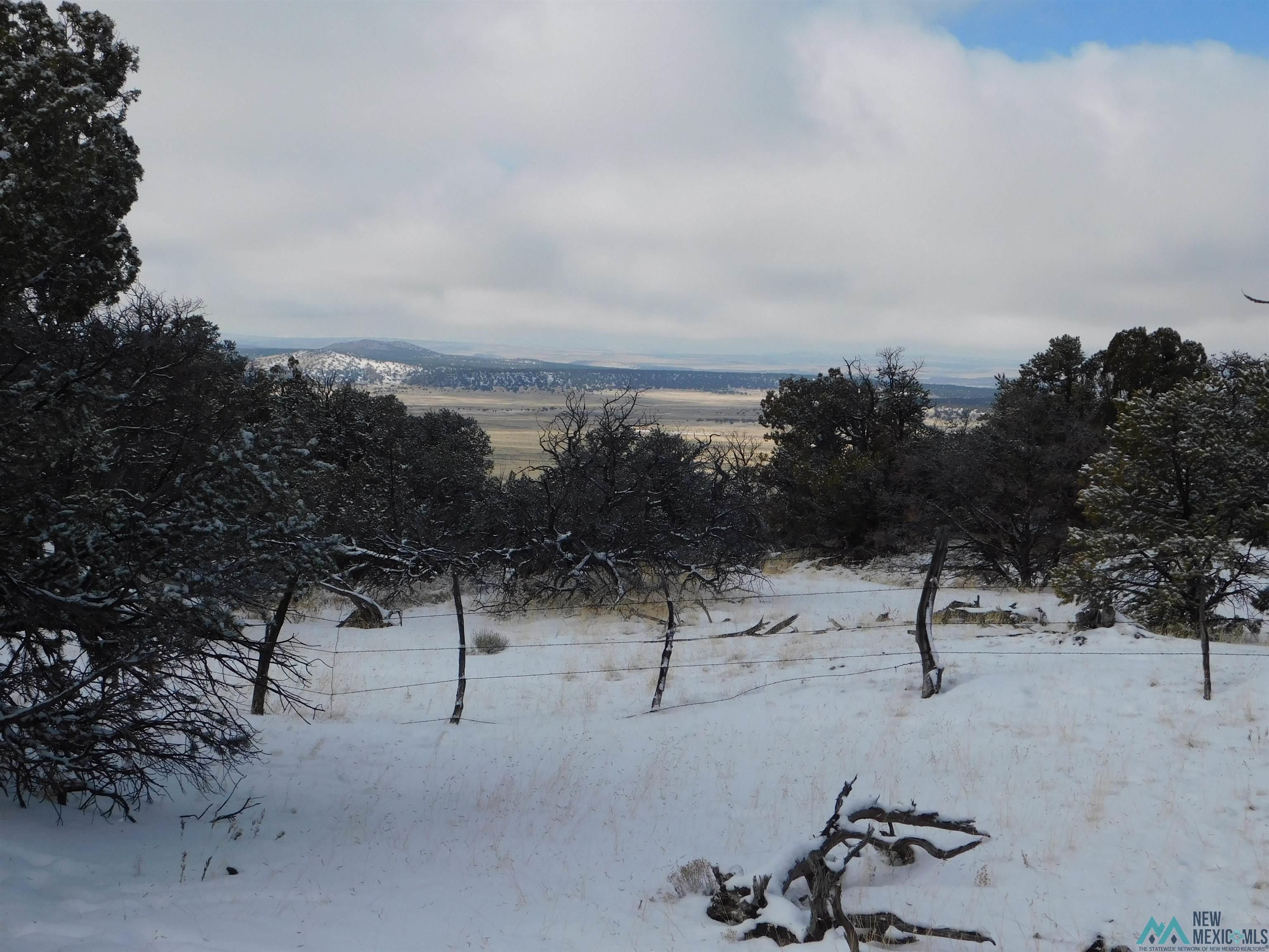 LOT 70 Creekside Drive, Quemado, New Mexico image 3