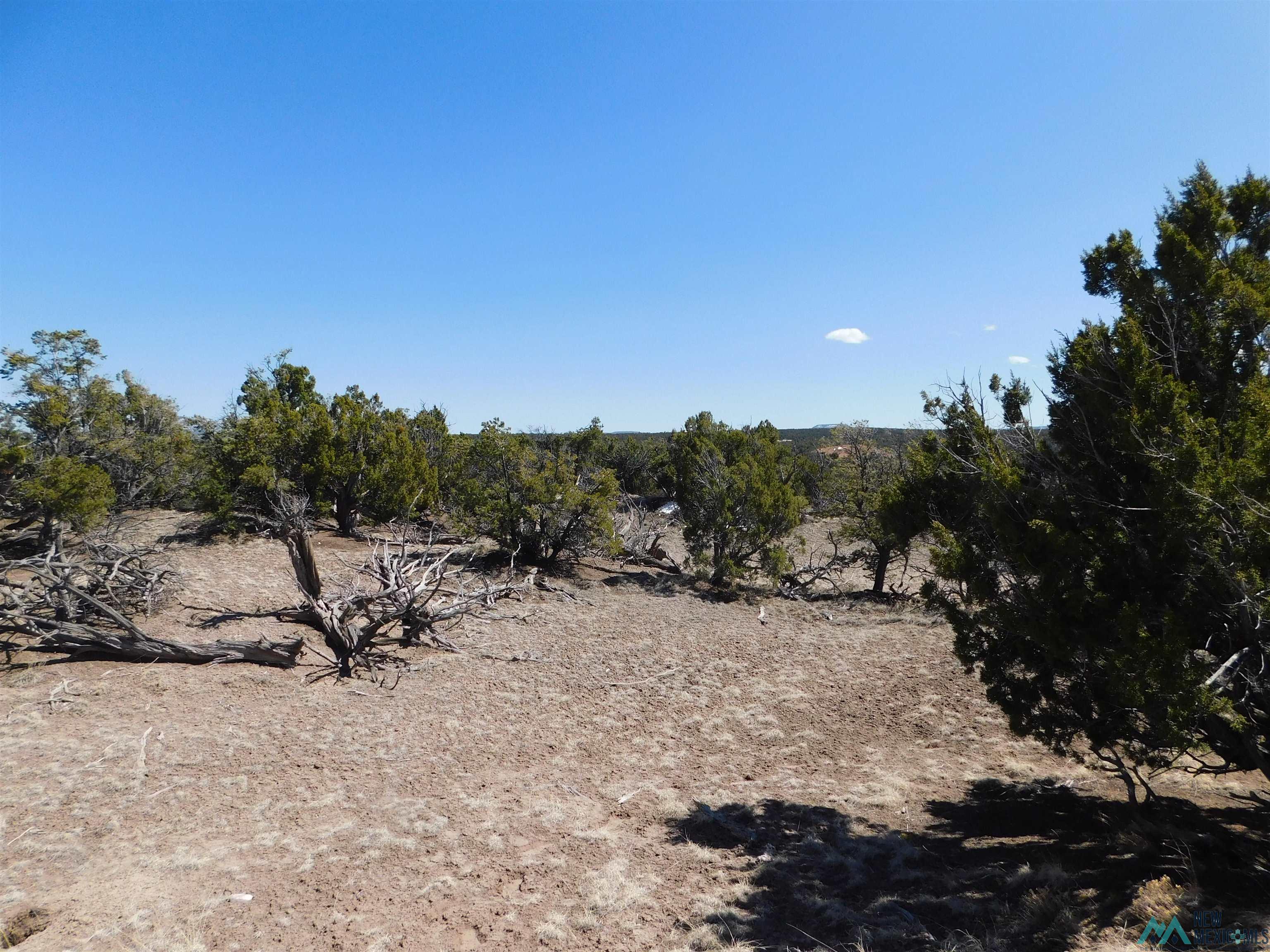 LOT 70 Creekside Drive, Quemado, New Mexico image 9