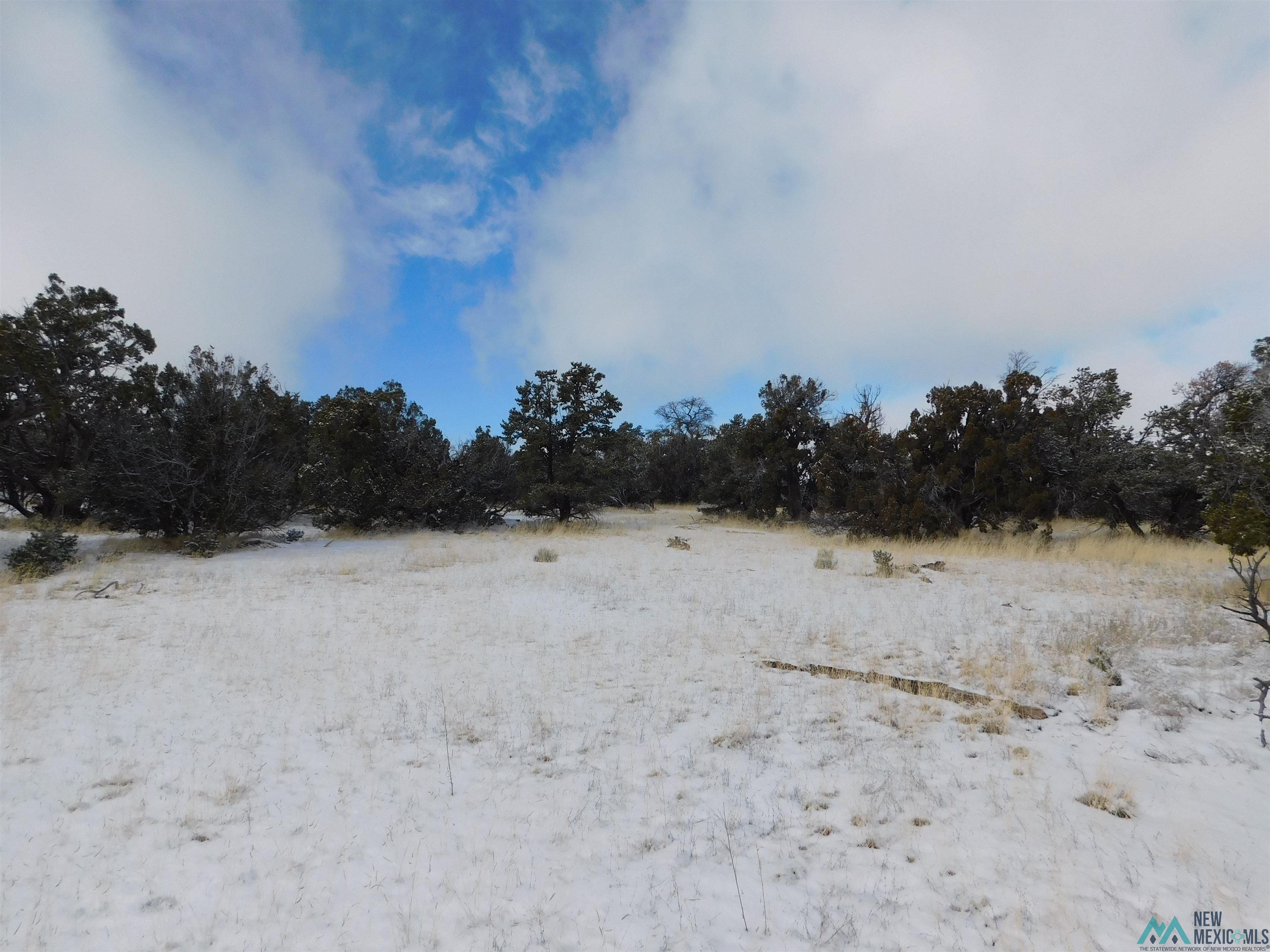 LOT 70 Creekside Drive, Quemado, New Mexico image 9