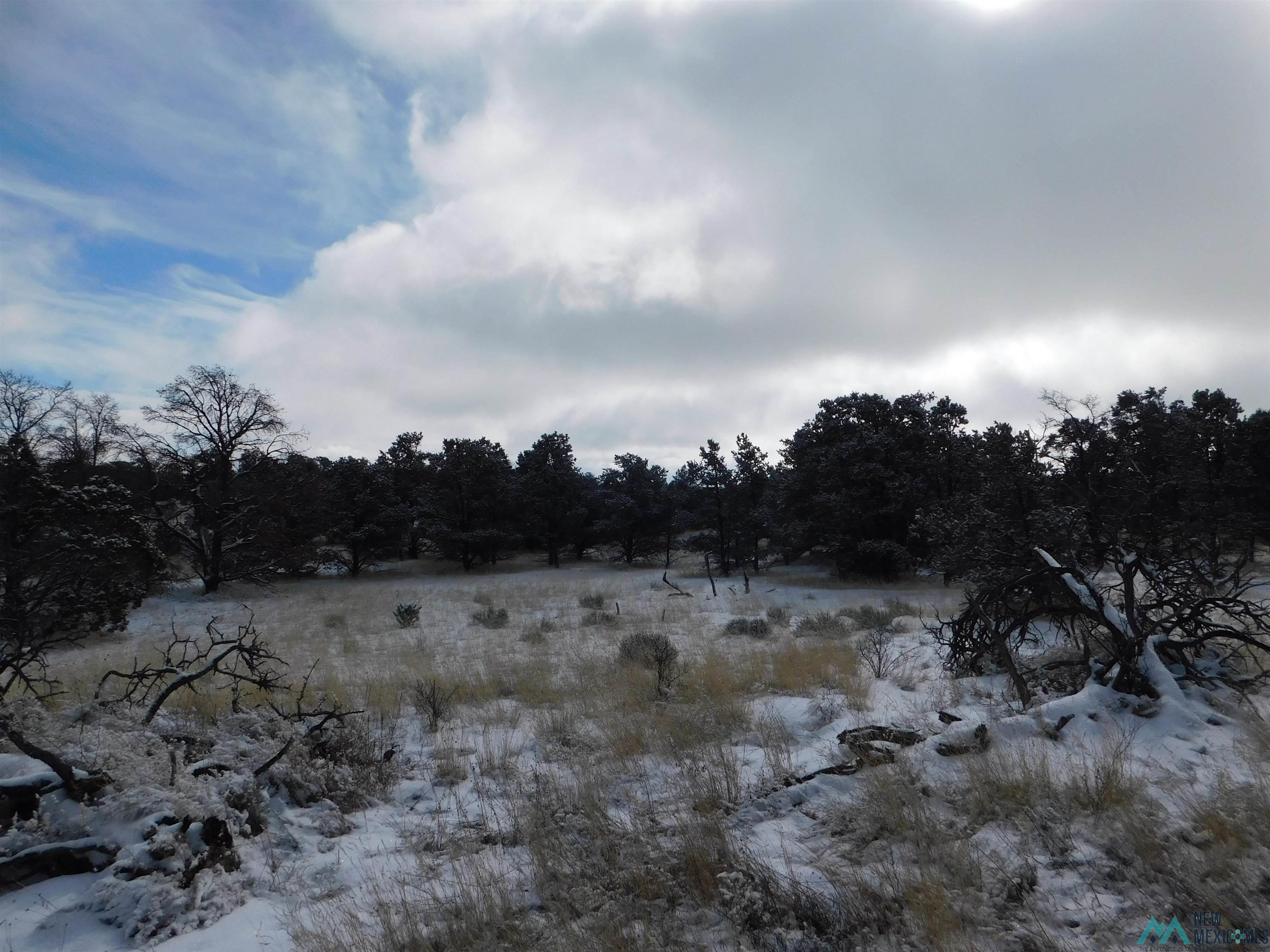 LOT 70 Creekside Drive, Quemado, New Mexico image 12