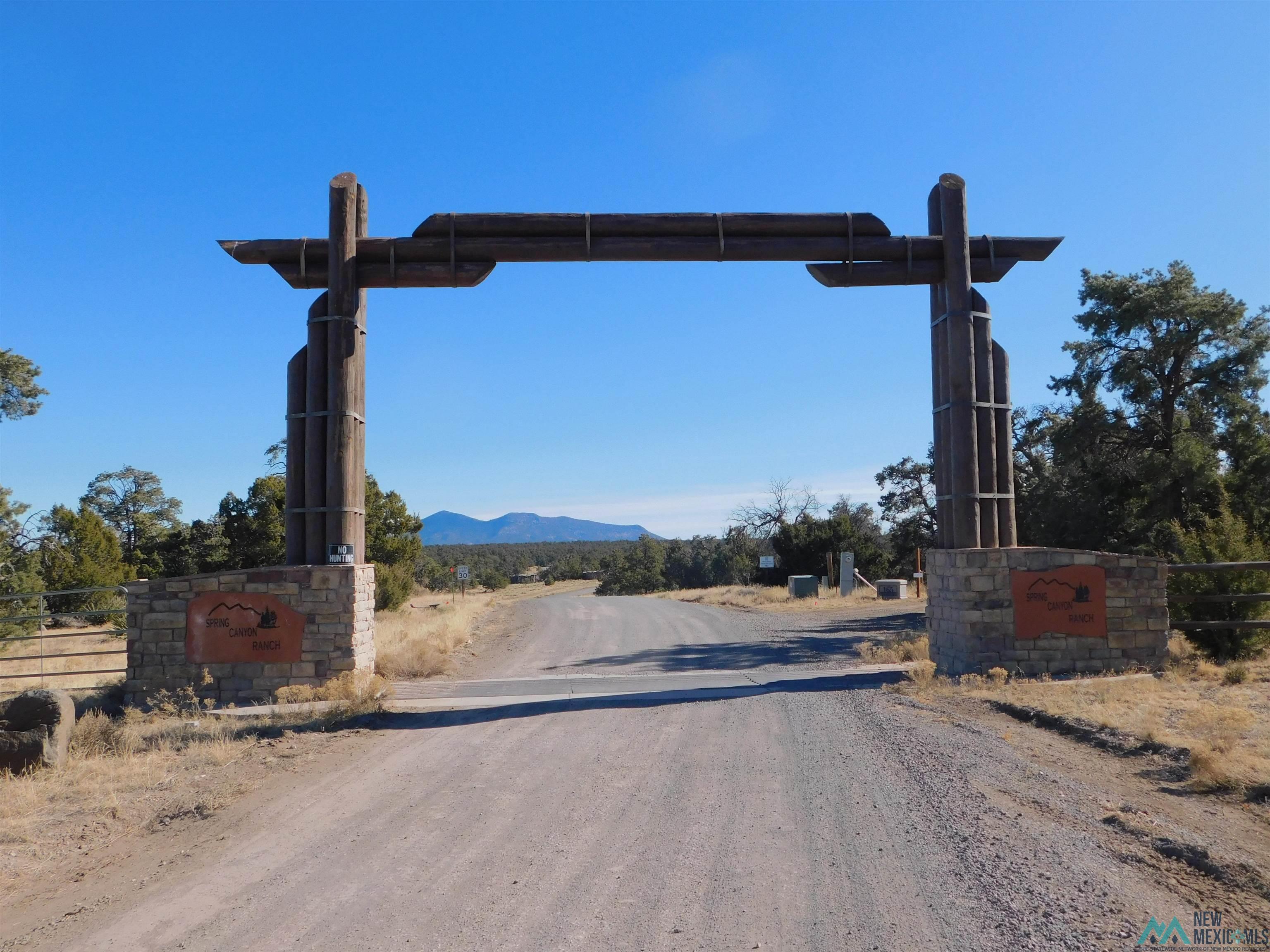 LOT 70 Creekside Drive, Quemado, New Mexico image 13