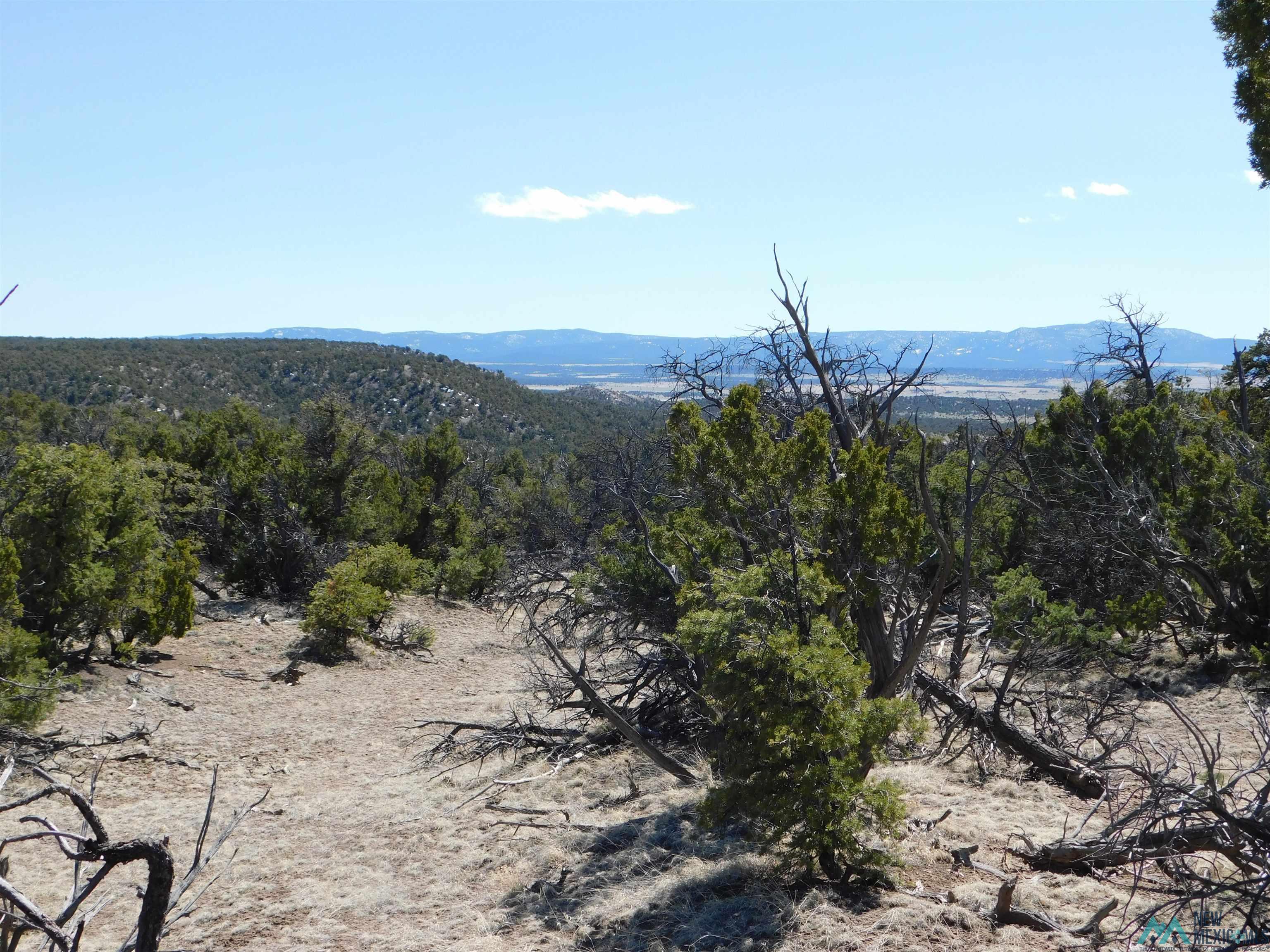 LOT 70 Creekside Drive, Quemado, New Mexico image 1