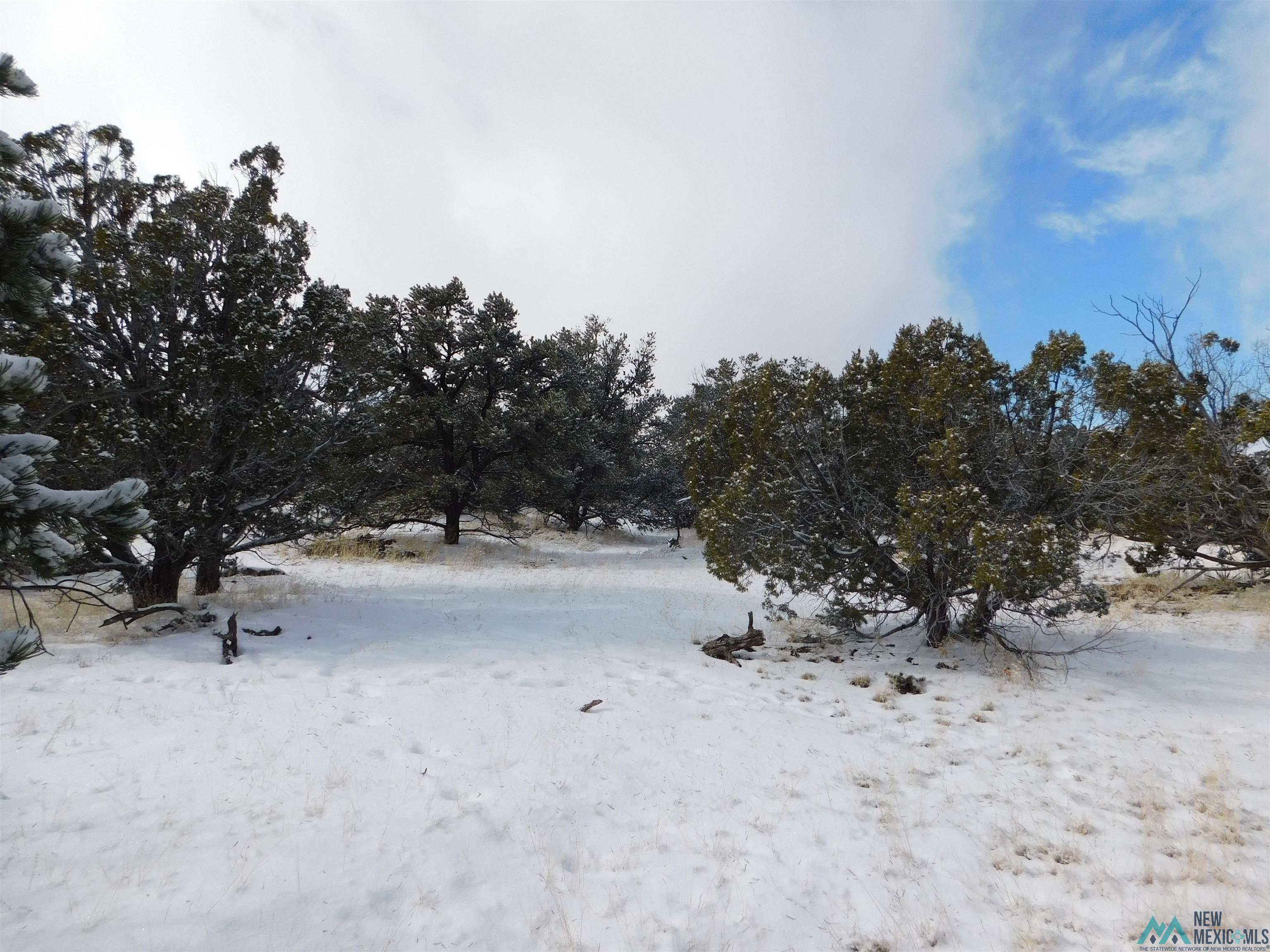 LOT 70 Creekside Drive, Quemado, New Mexico image 10