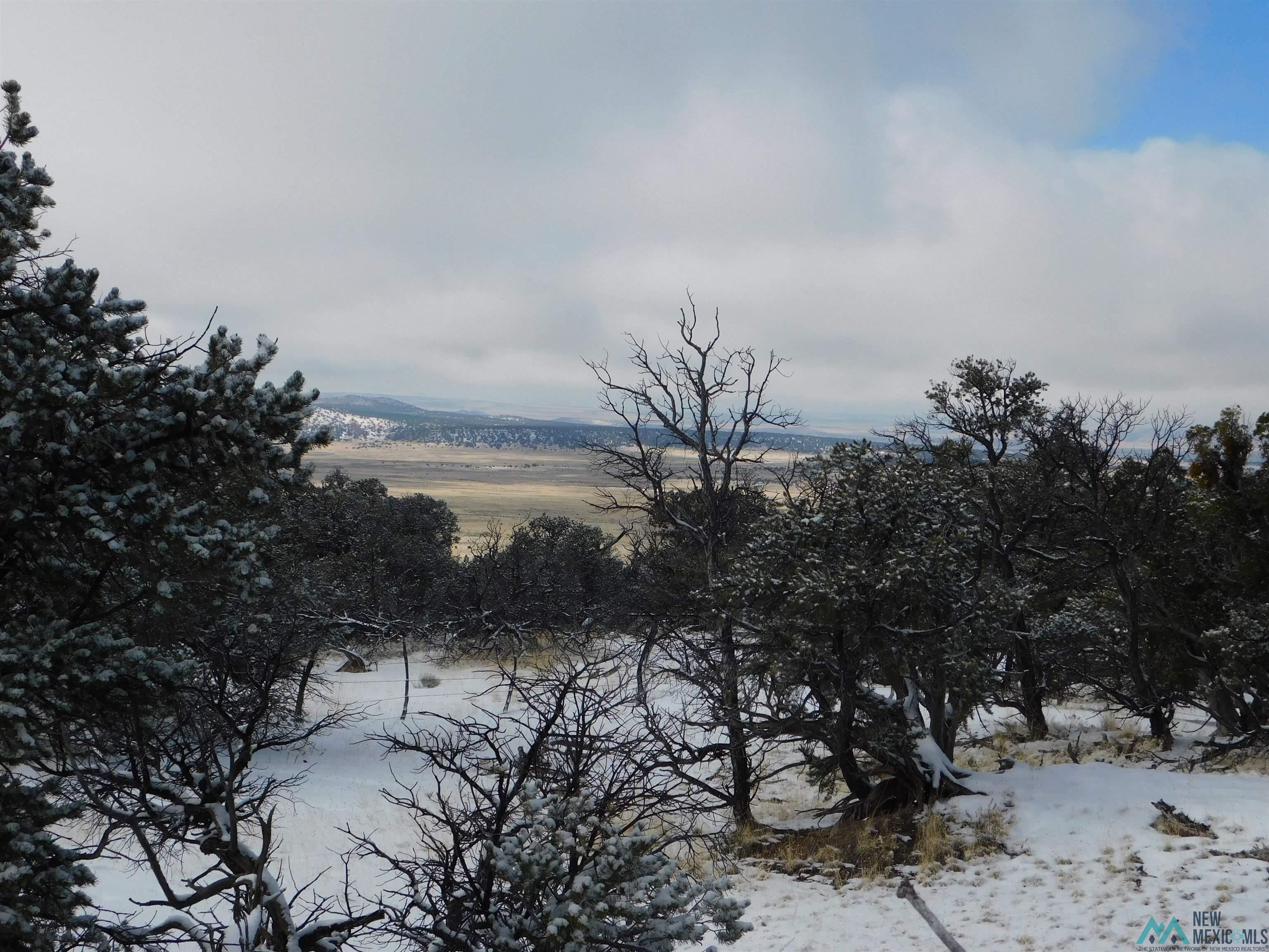 LOT 70 Creekside Drive, Quemado, New Mexico image 1