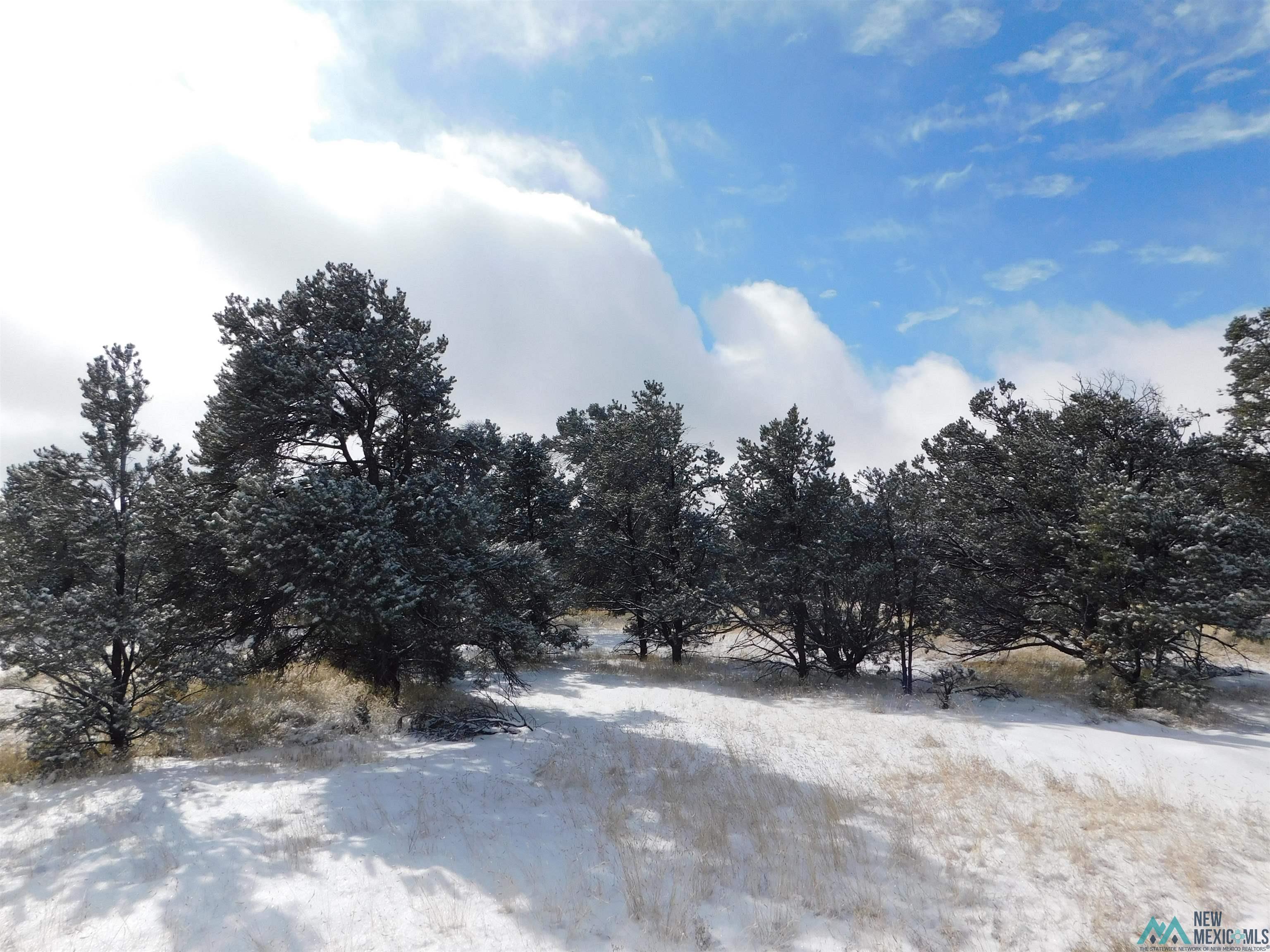 LOT 70 Creekside Drive, Quemado, New Mexico image 13