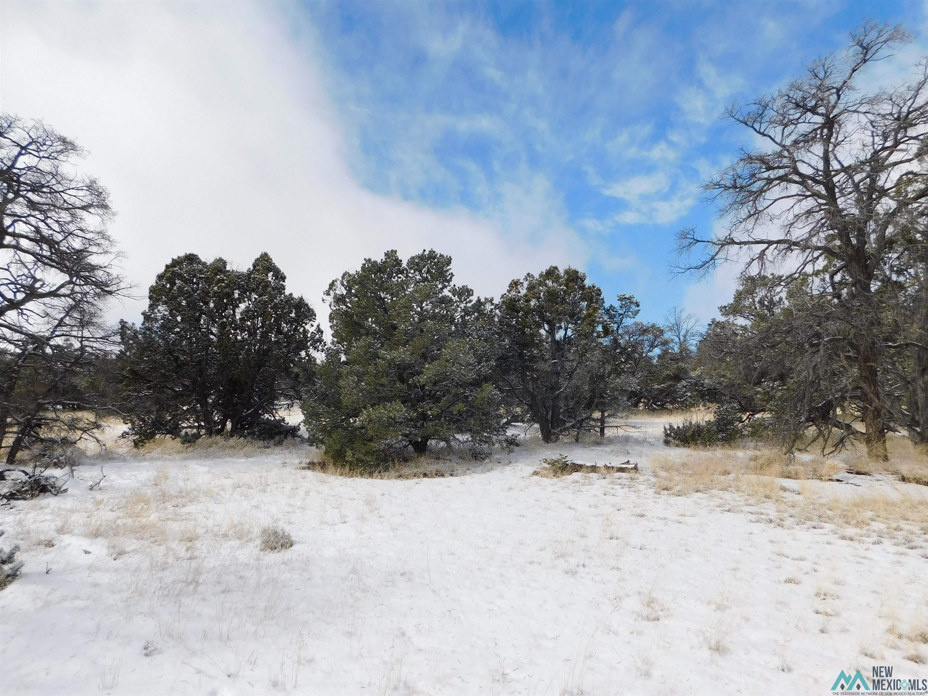 LOT 70 Creekside Drive, Quemado, New Mexico image 7