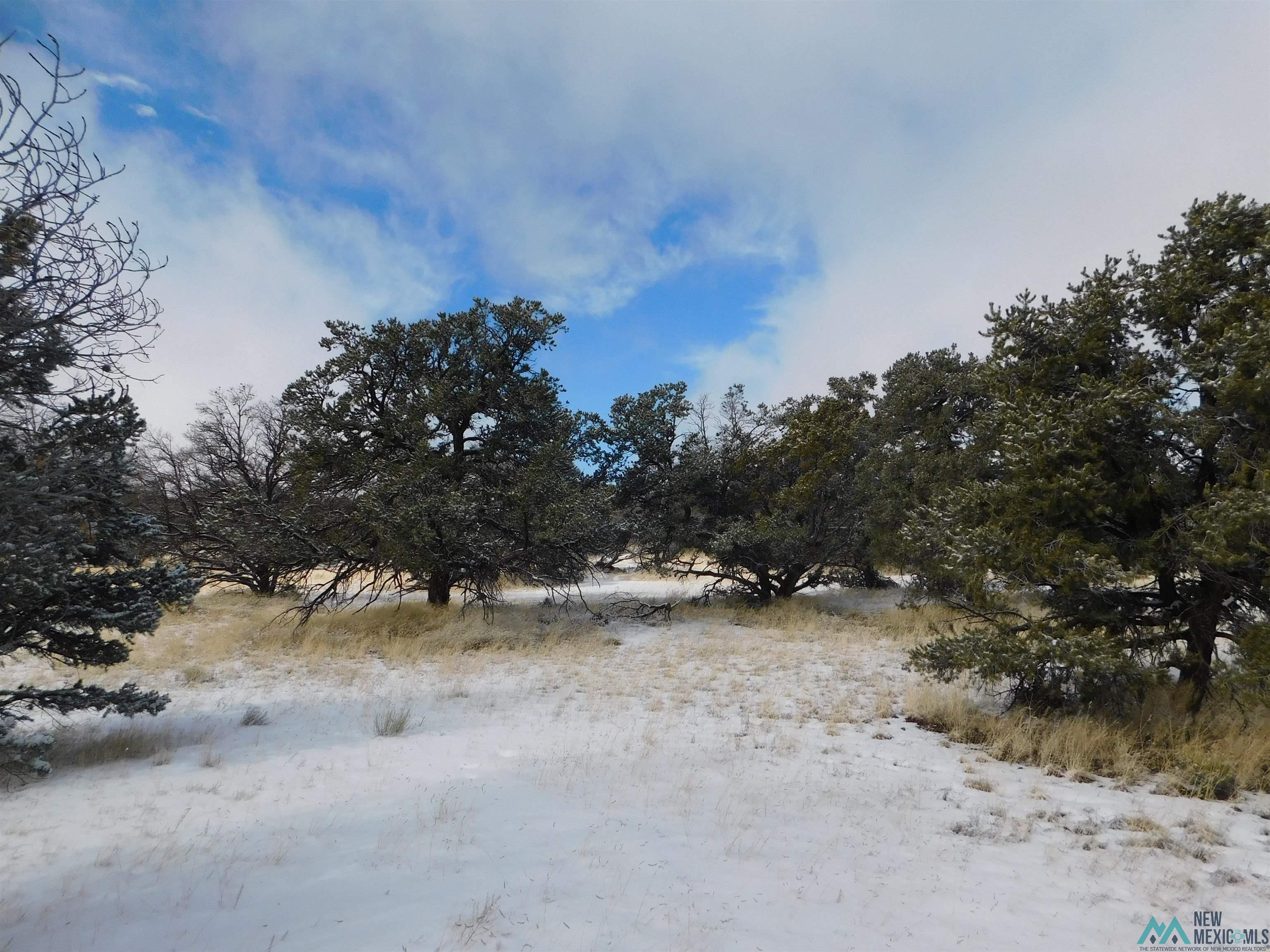 LOT 70 Creekside Drive, Quemado, New Mexico image 4