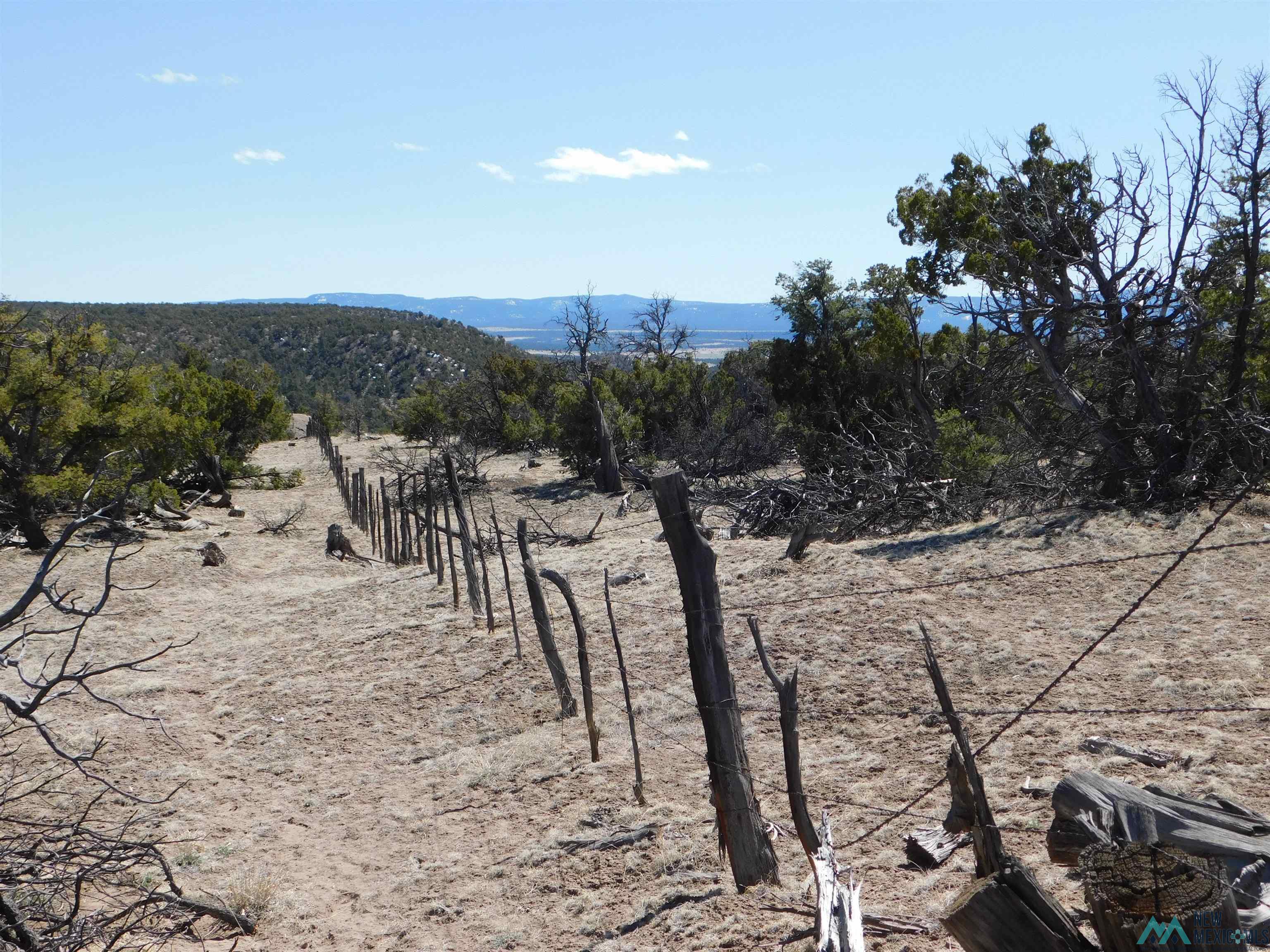 LOT 70 Creekside Drive, Quemado, New Mexico image 4