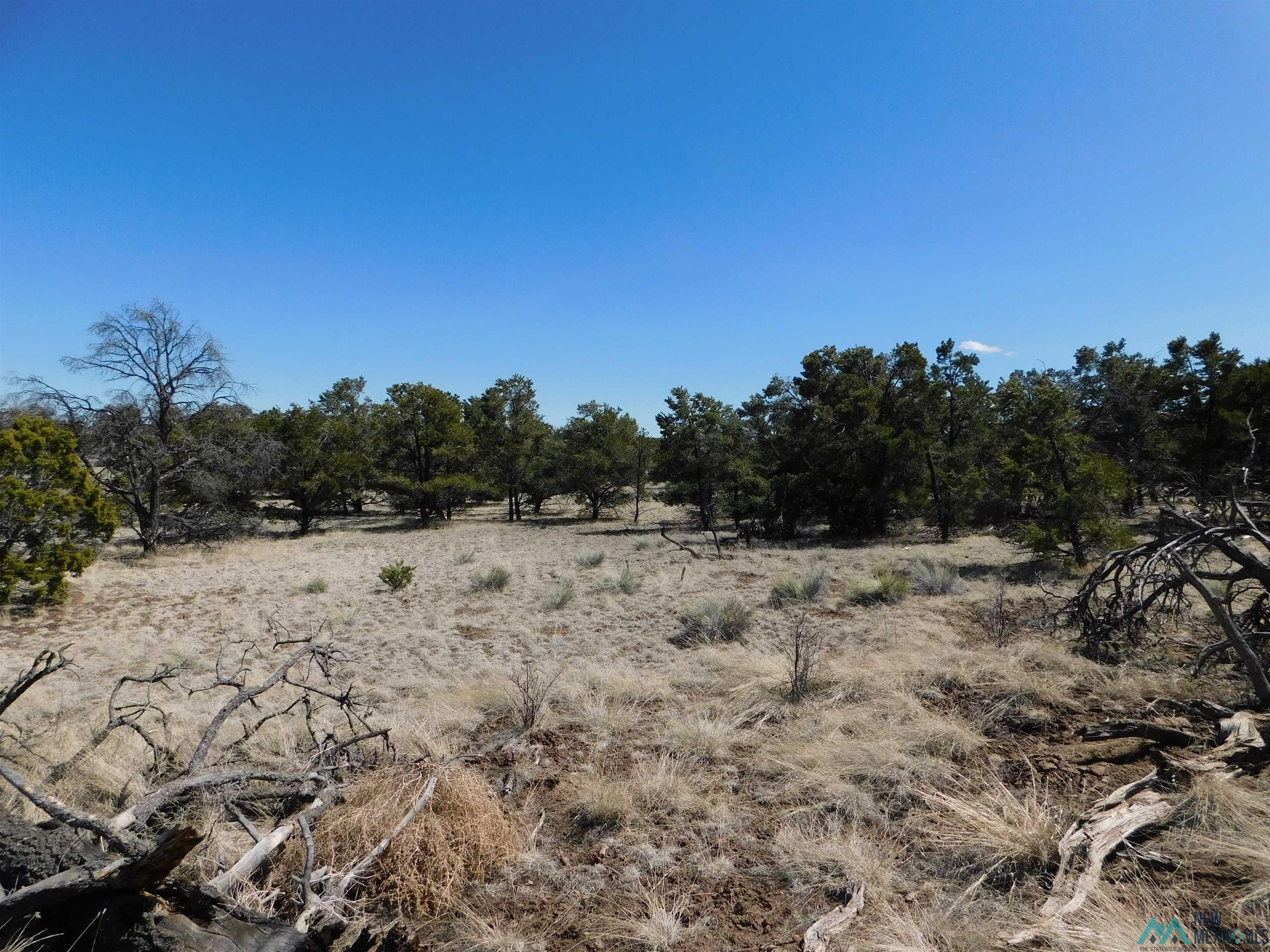 LOT 70 Creekside Drive, Quemado, New Mexico image 8