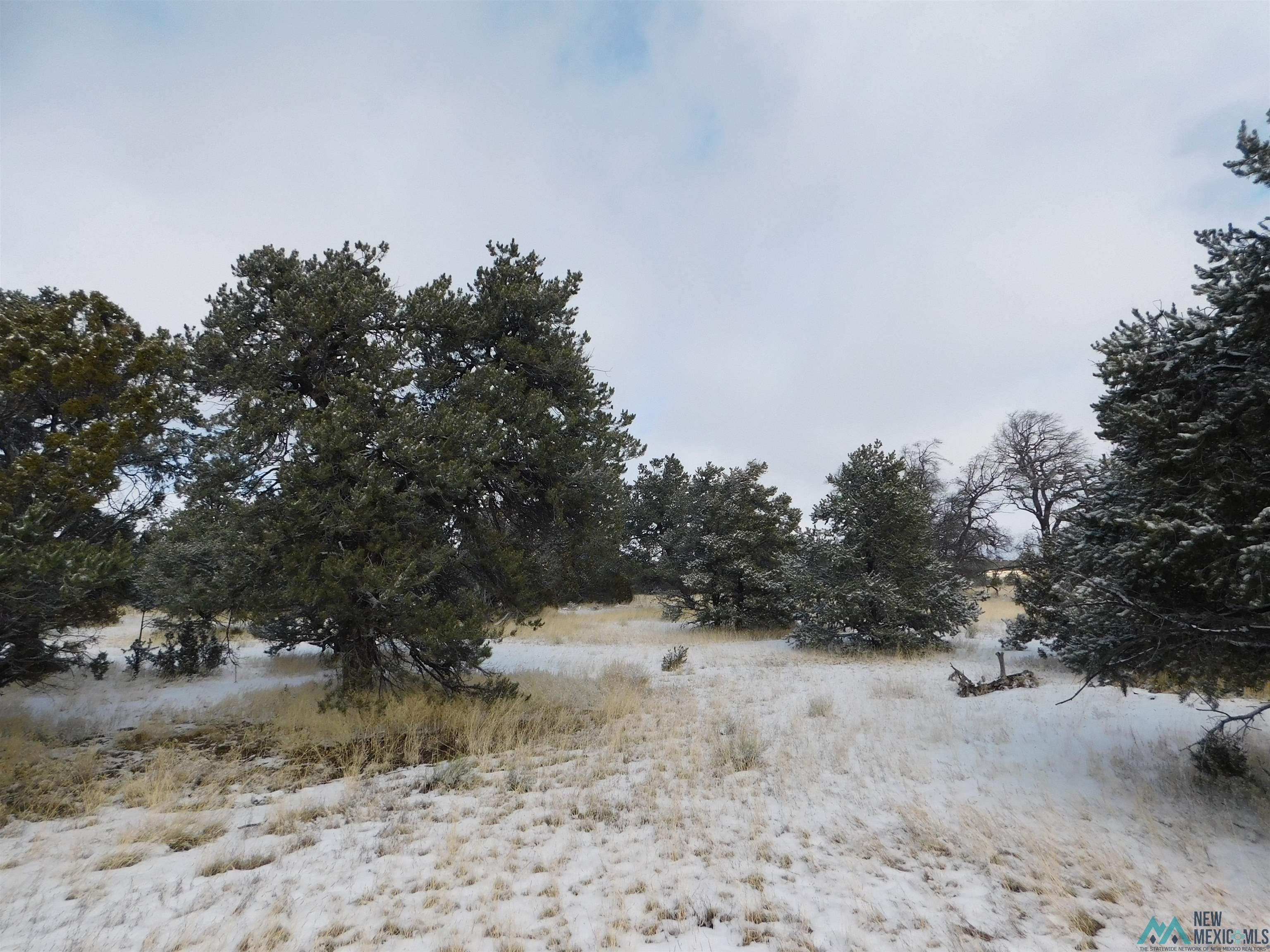 LOT 70 Creekside Drive, Quemado, New Mexico image 5