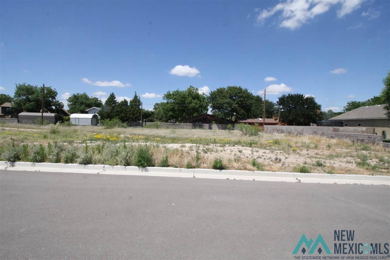 Lot 12 Block 8 W Avenue K Street, Lovington, New Mexico image 1