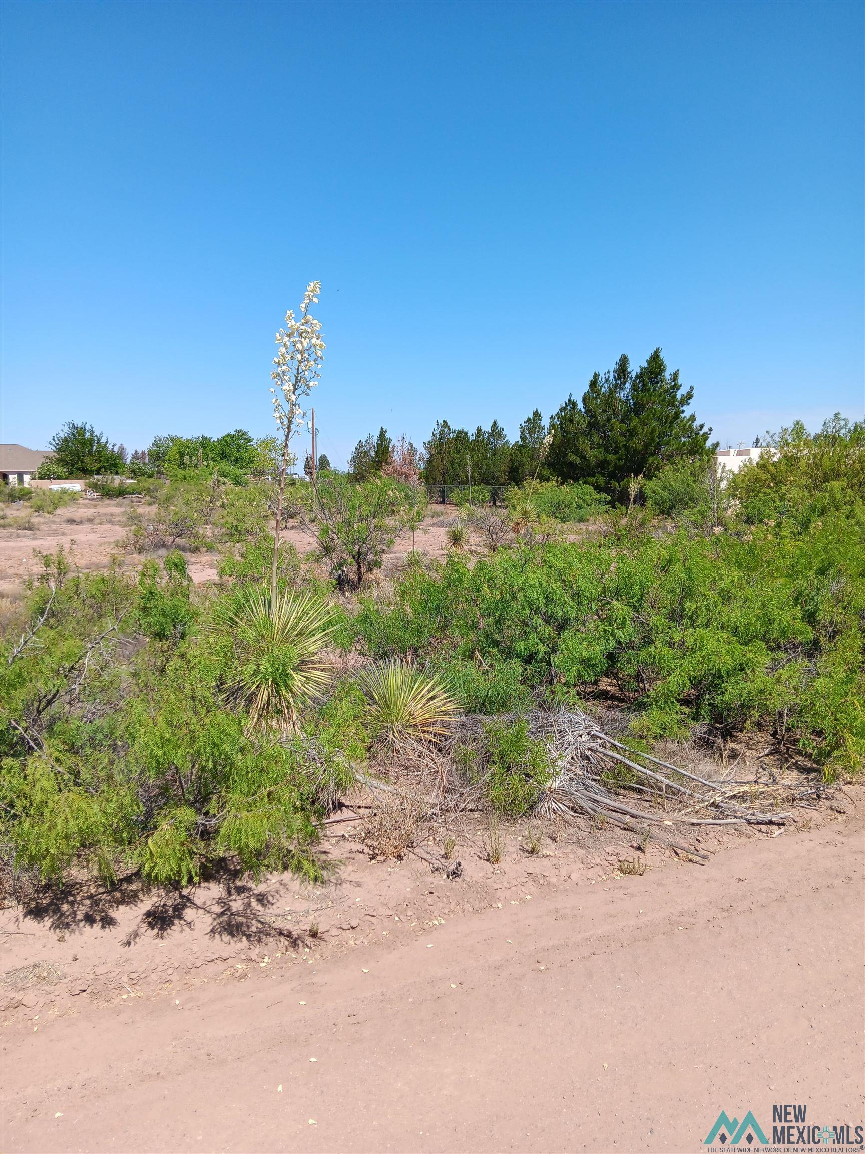 0000 Majestic View Street, Deming, New Mexico image 3