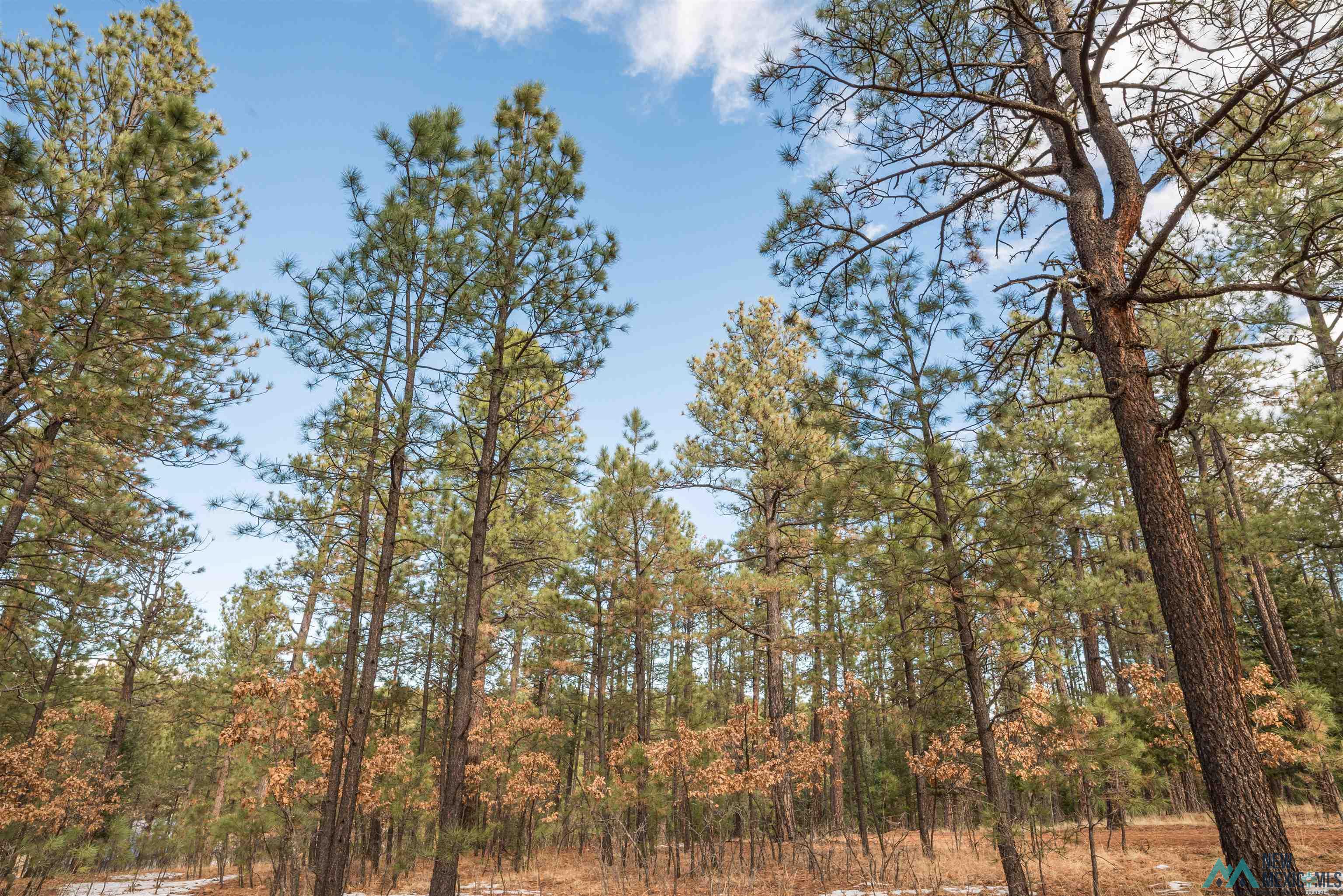 Lot 69 Avenida Lustrosos Avenue, Rociada, New Mexico image 5