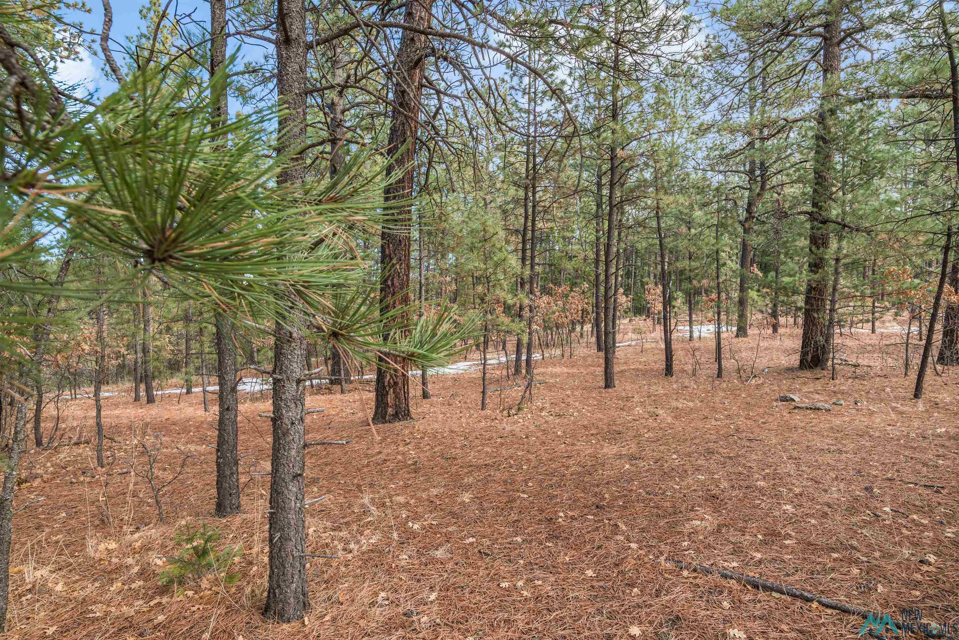 Lot 69 Avenida Lustrosos Avenue, Rociada, New Mexico image 6