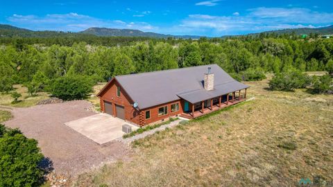 Homes For Sale - 235A State Hwy 17 Highway<br/> Rio Arriba County, Chama, NM 87520