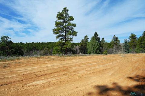 Vacant Land For Sale - 6 Badger Road<br/> Rio Arriba County, Chama, NM 87520