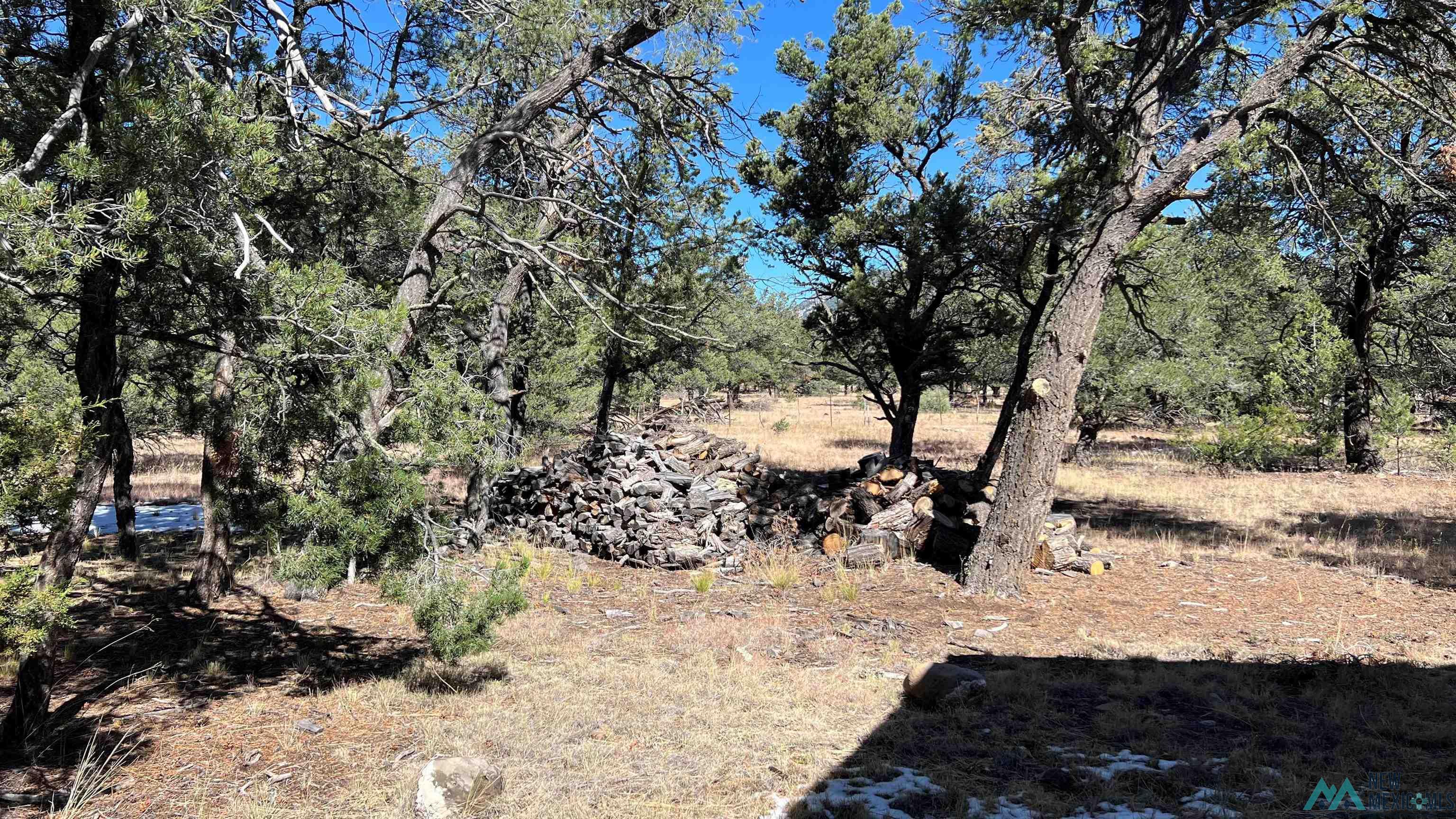 138 El Caso Road, Quemado, New Mexico image 20