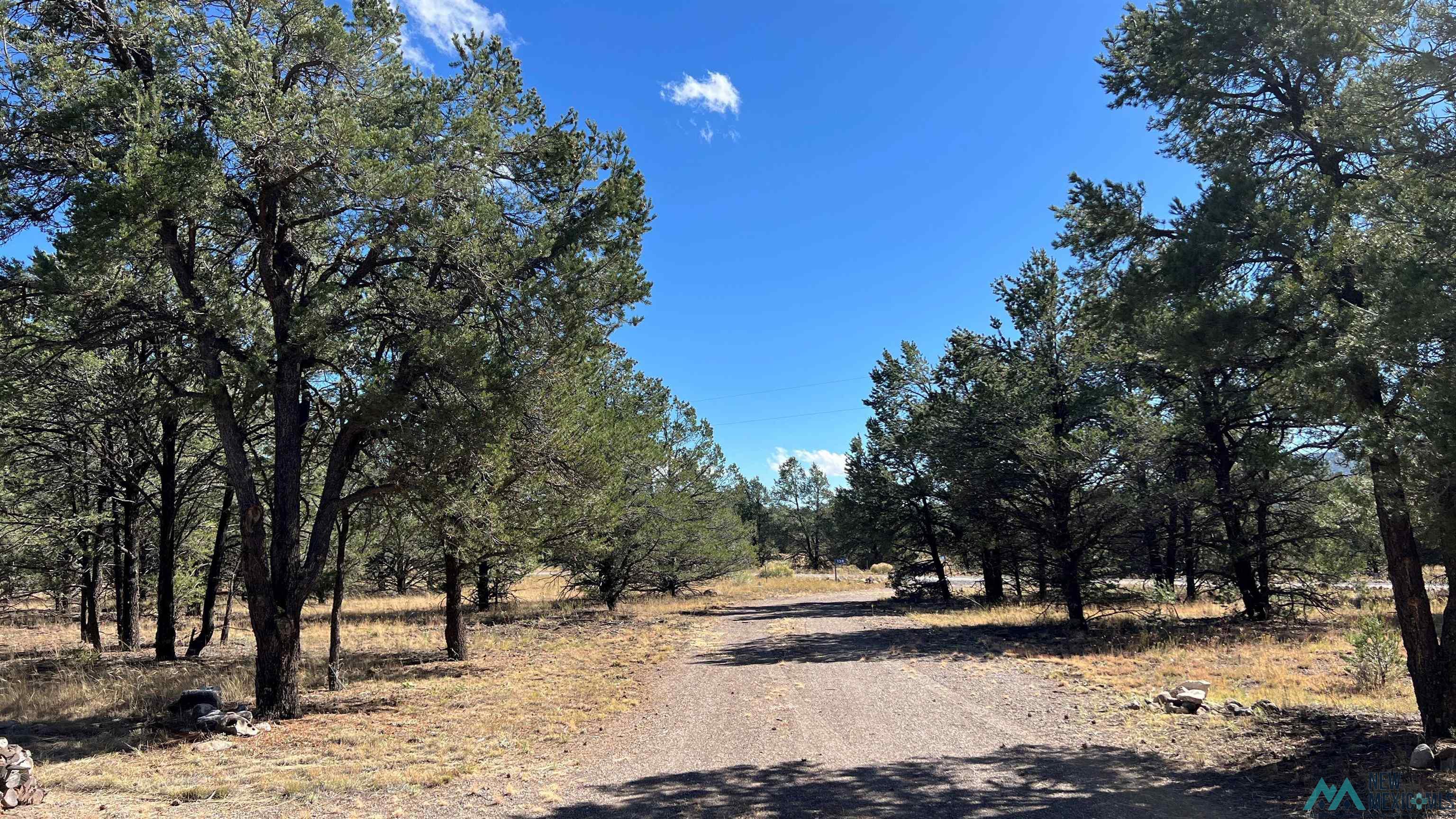 138 El Caso Road, Quemado, New Mexico image 27