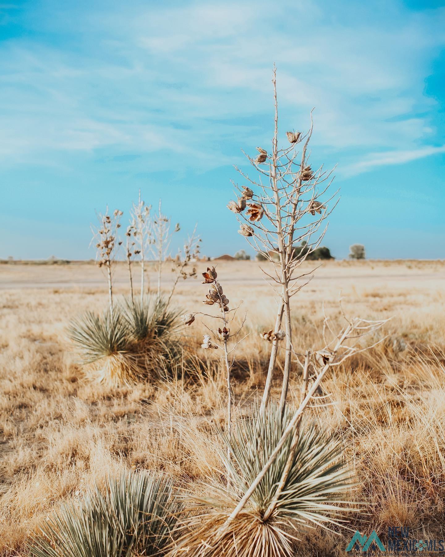 Lot 36 Desert Willow Estates, Artesia, Texas image 5