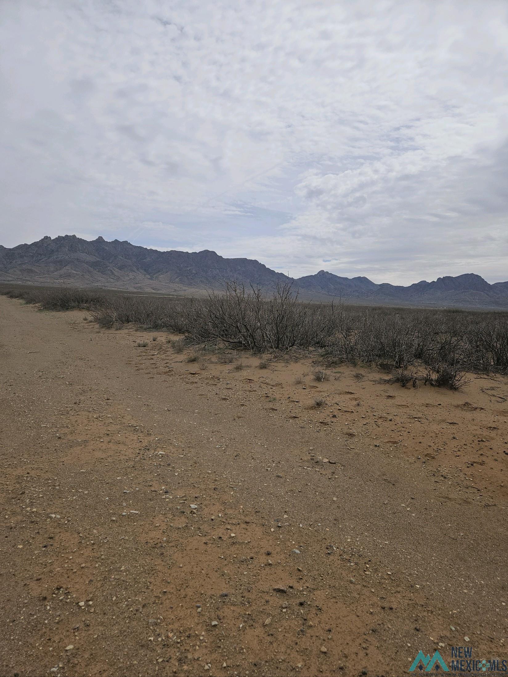 XXX SE Amarillo Rd, Deming, New Mexico image 1