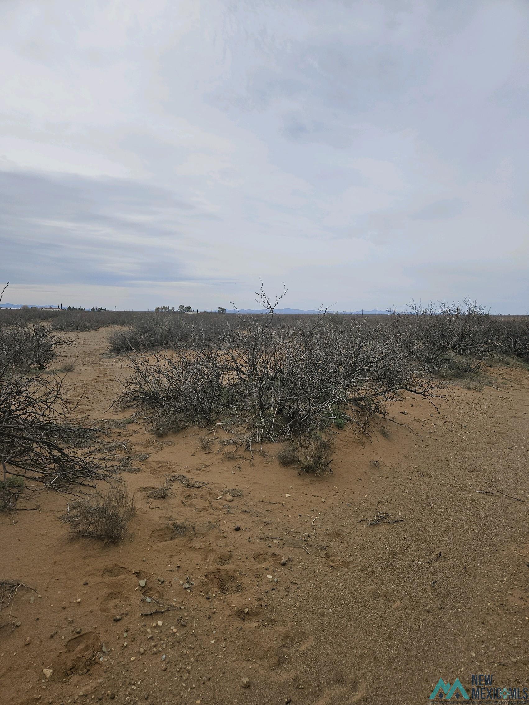 XXX SE Amarillo Rd, Deming, New Mexico image 3