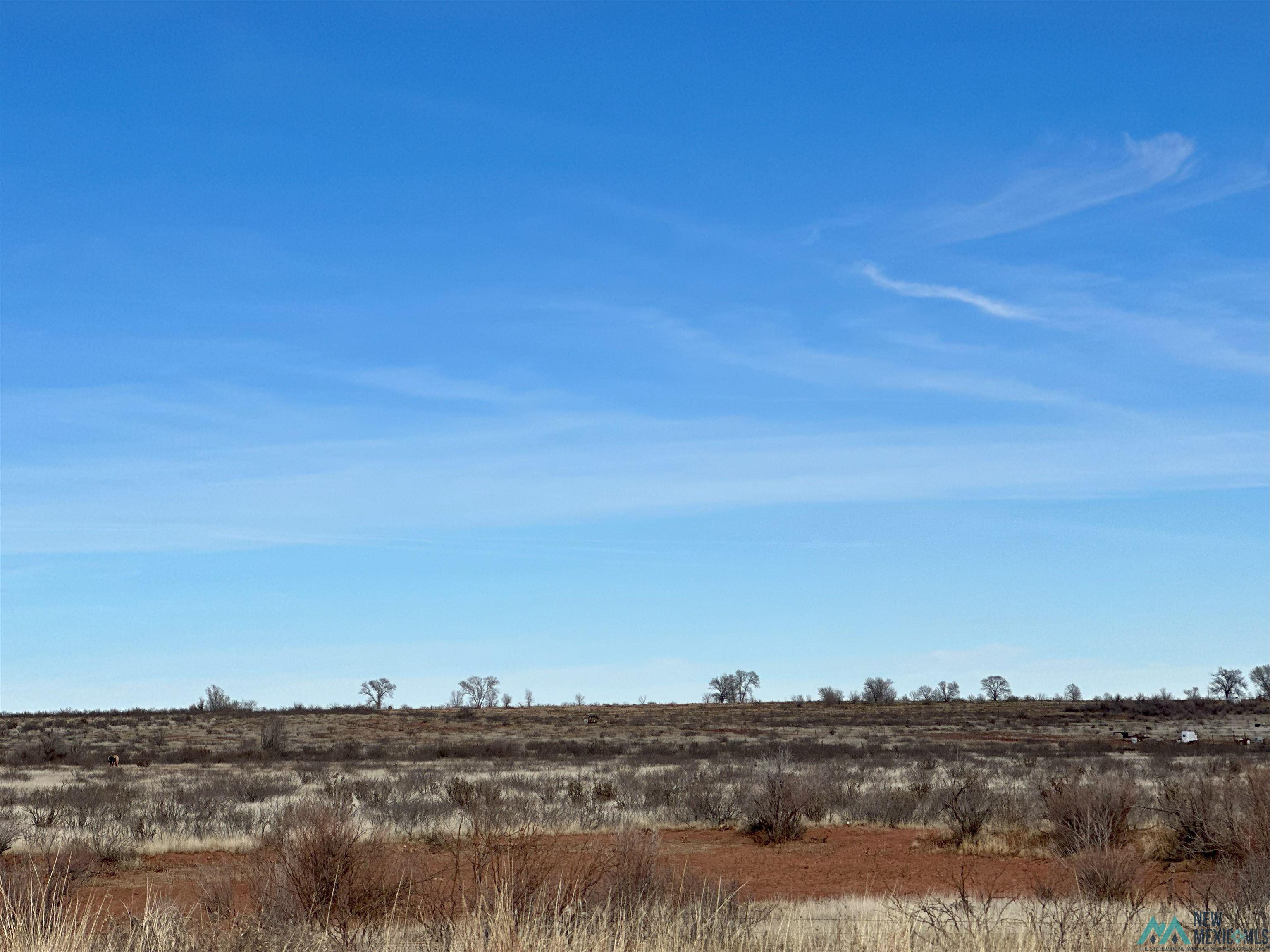 4226 Qr 67, Tucumcari, New Mexico image 12