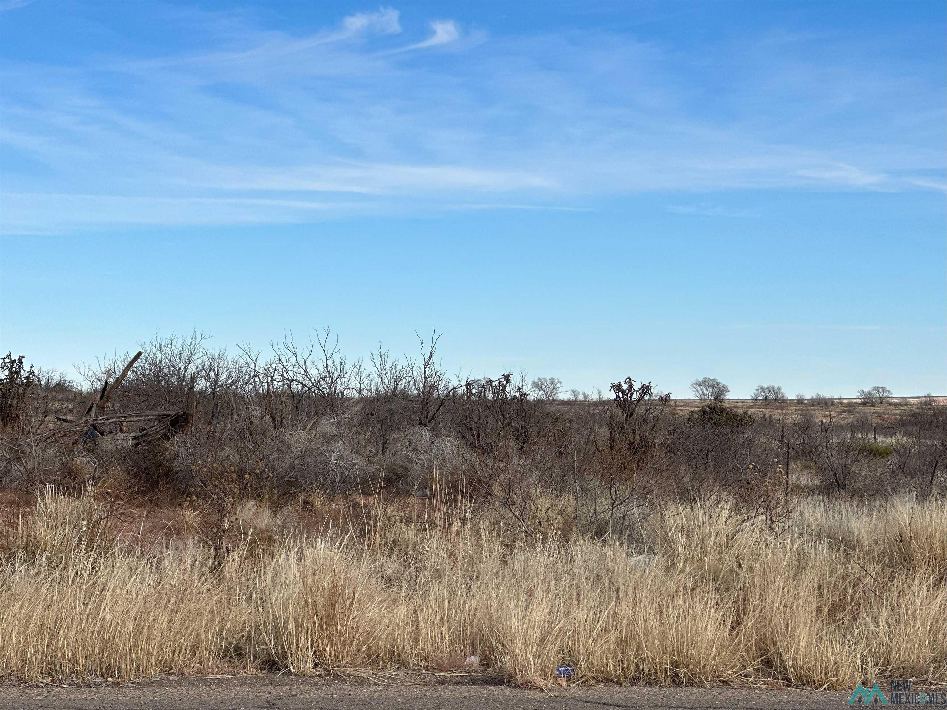 4226 Qr 67, Tucumcari, New Mexico image 10