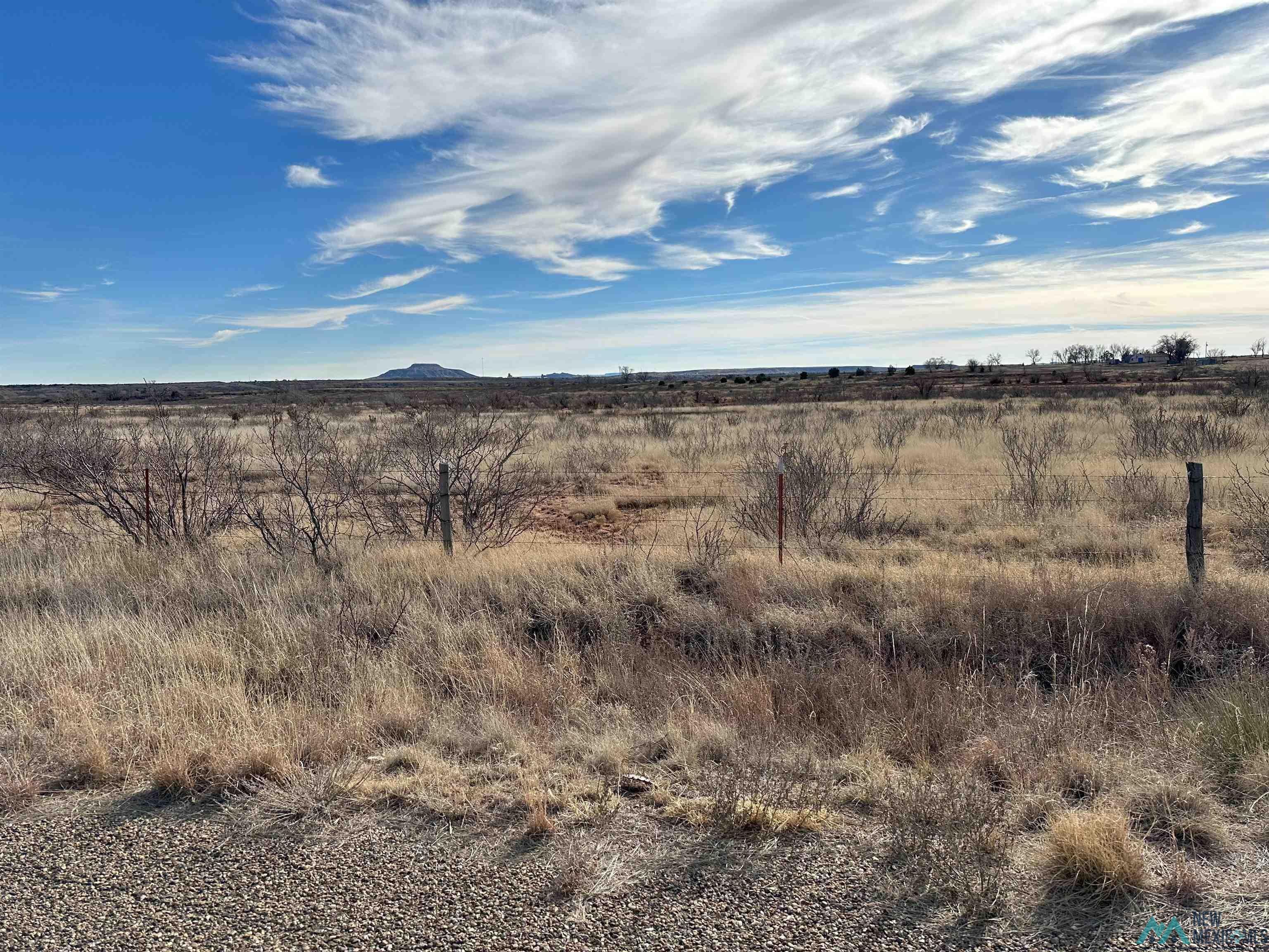 4226 Qr 67, Tucumcari, New Mexico image 3