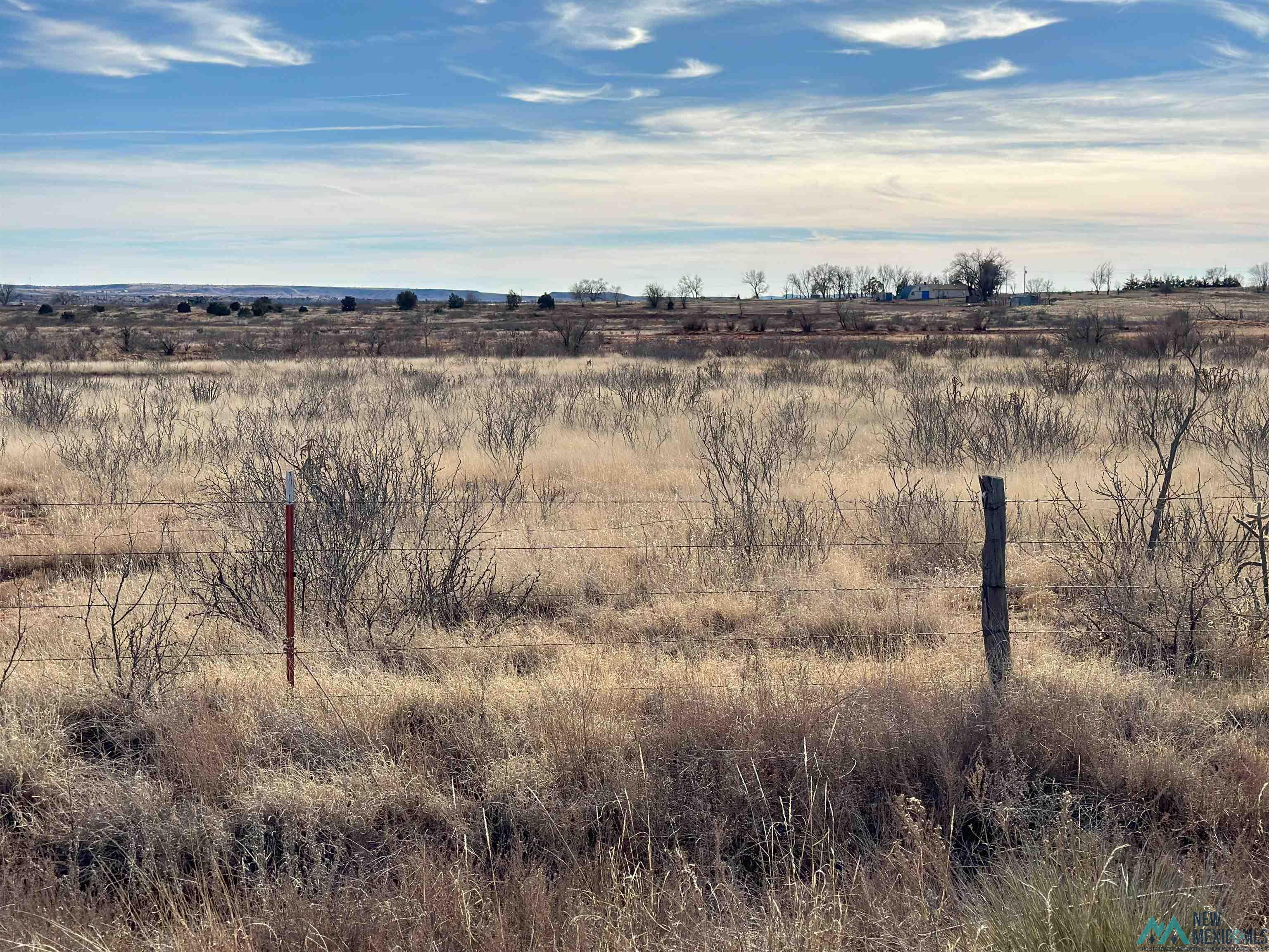 4226 Qr 67, Tucumcari, New Mexico image 5