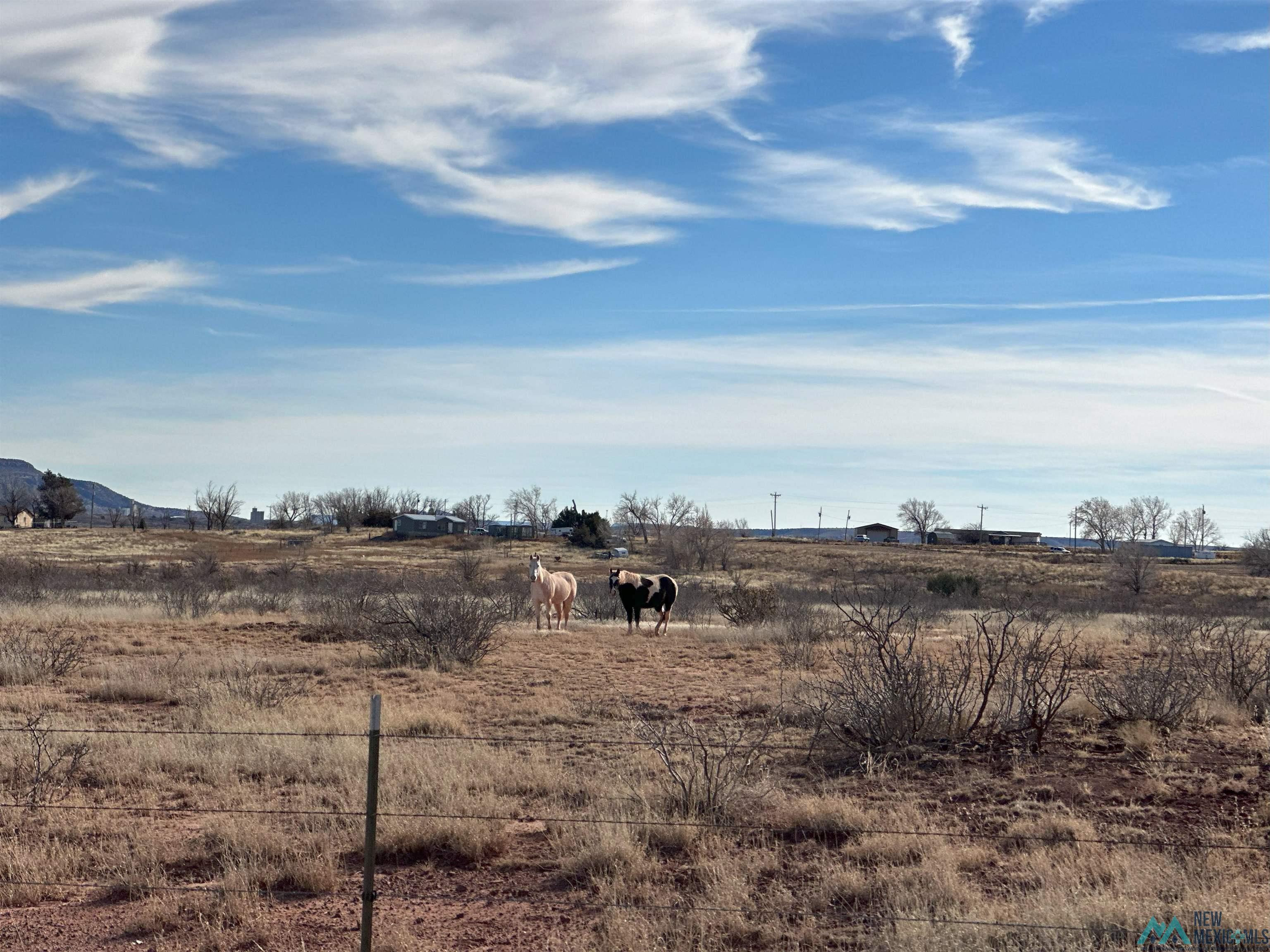 4226 Qr 67, Tucumcari, New Mexico image 8