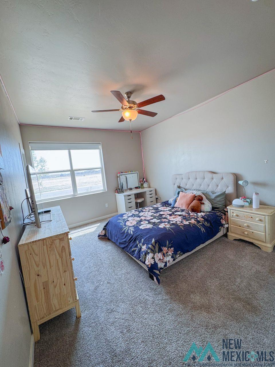 3628 S Sunnyview Avenue, Carlsbad, New Mexico image 19
