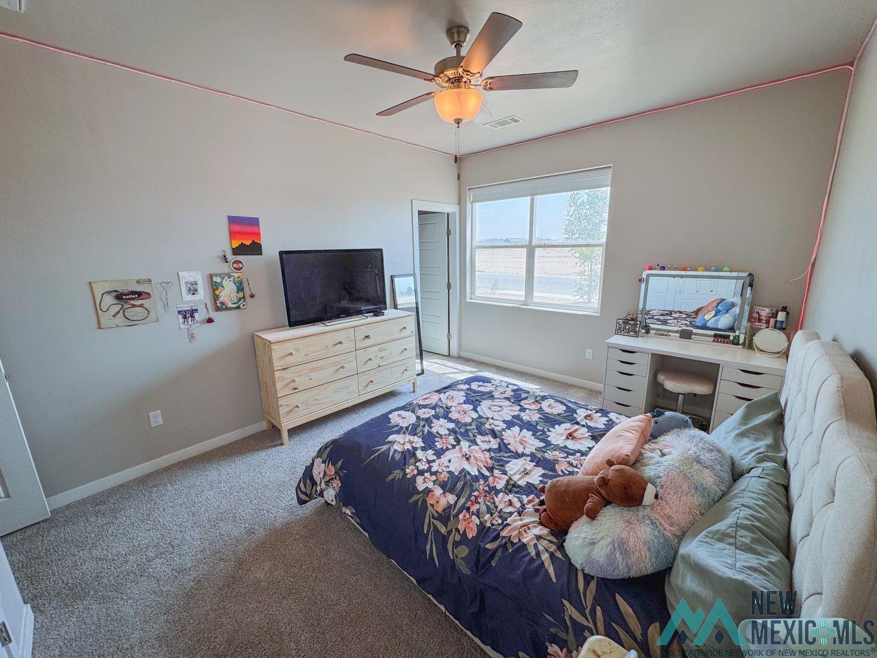 3628 S Sunnyview Avenue, Carlsbad, New Mexico image 20