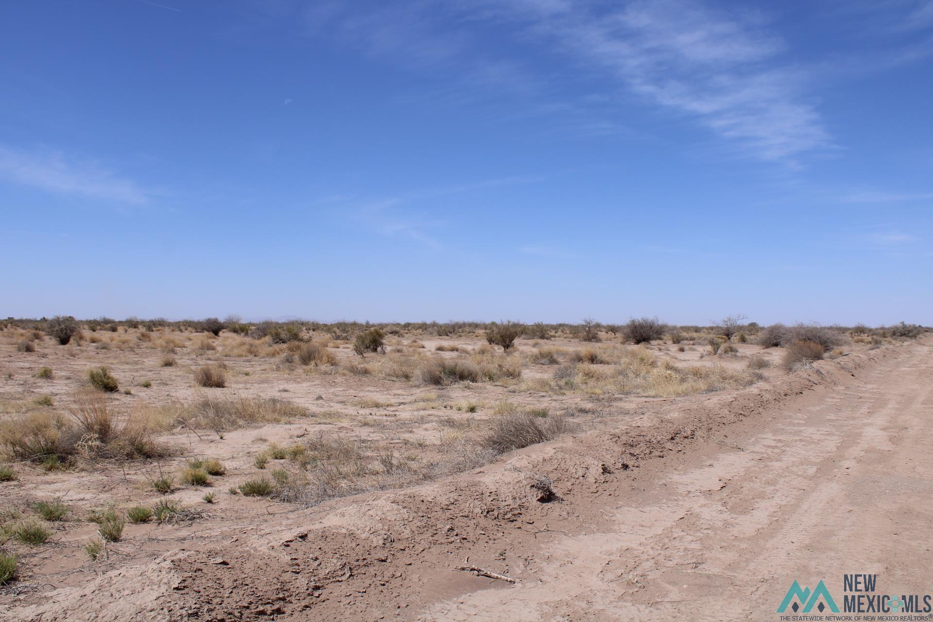 Yucca Rd Sw, Deming, New Mexico image 1