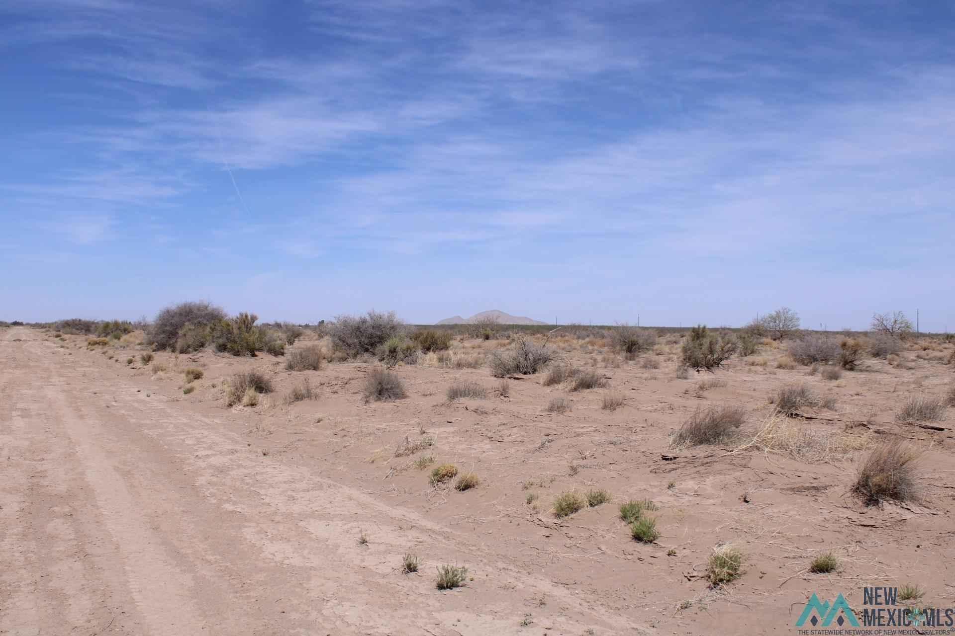 Yucca Rd Sw, Deming, New Mexico image 3