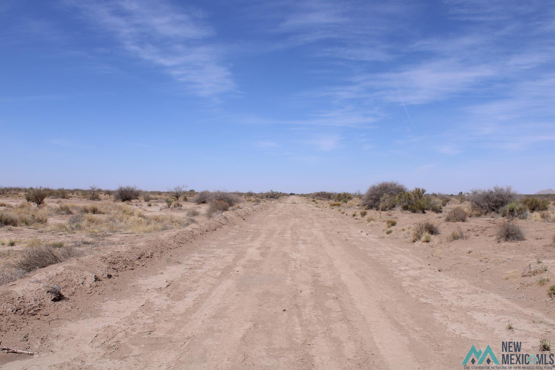 Yucca Rd Sw, Deming, New Mexico image 2