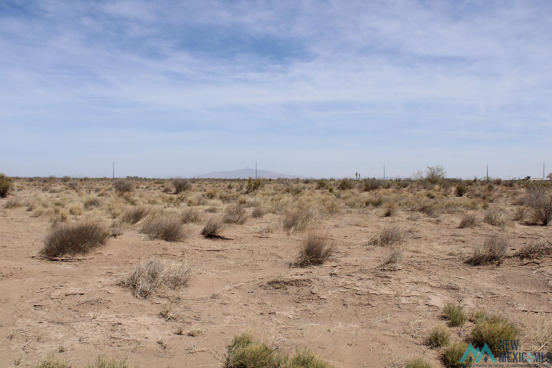 Yucca Rd Sw, Deming, New Mexico image 5