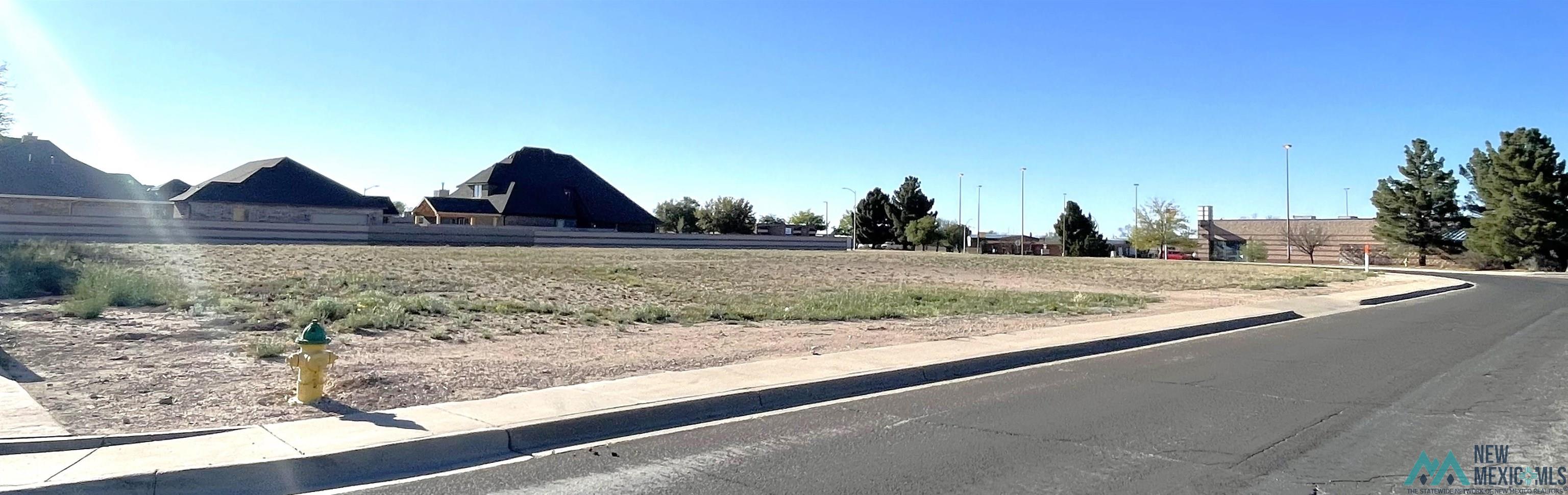 TBD N Alto Drive, Hobbs, Texas image 1