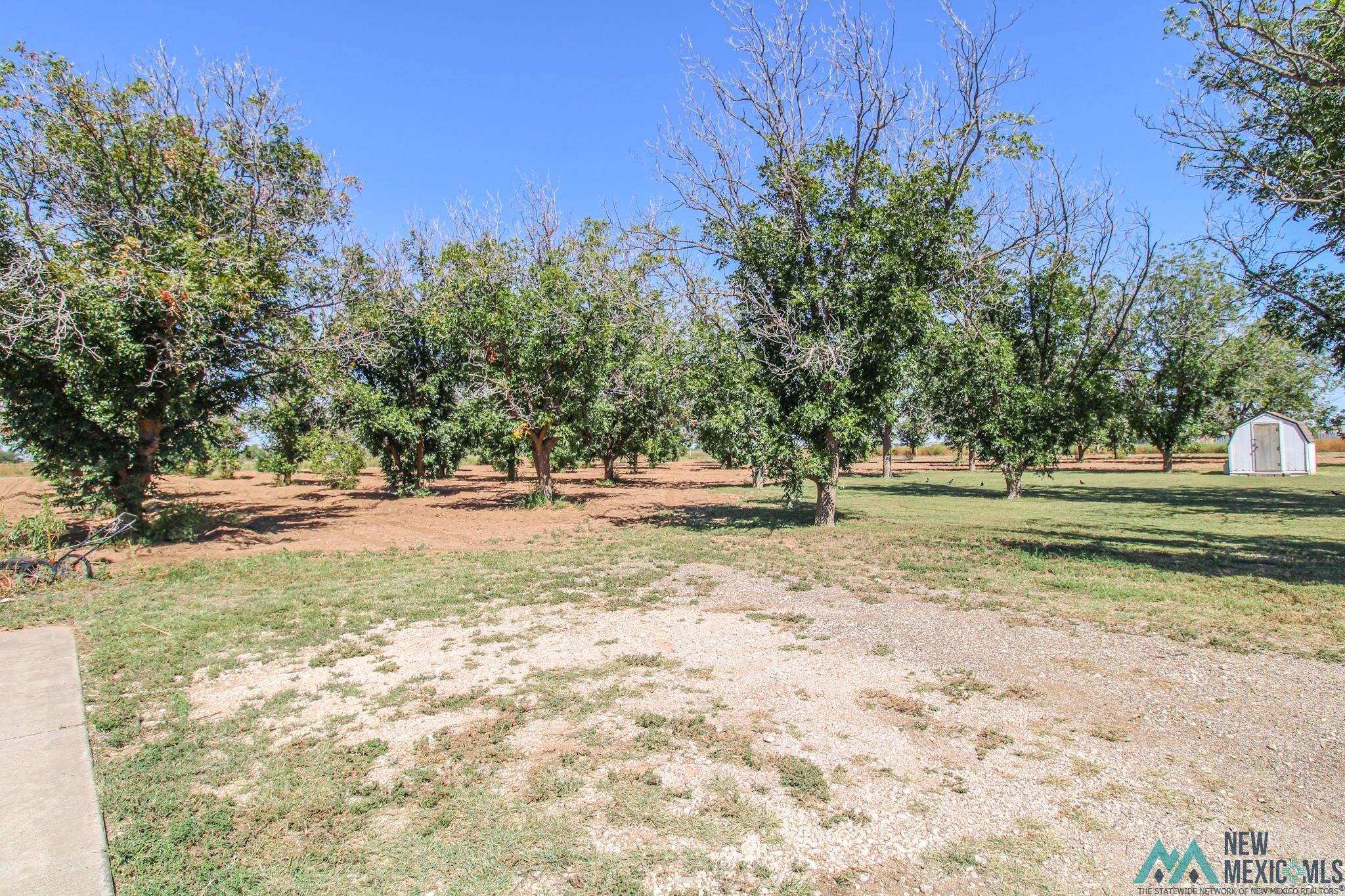 178 Nm 267, Portales, New Mexico image 45