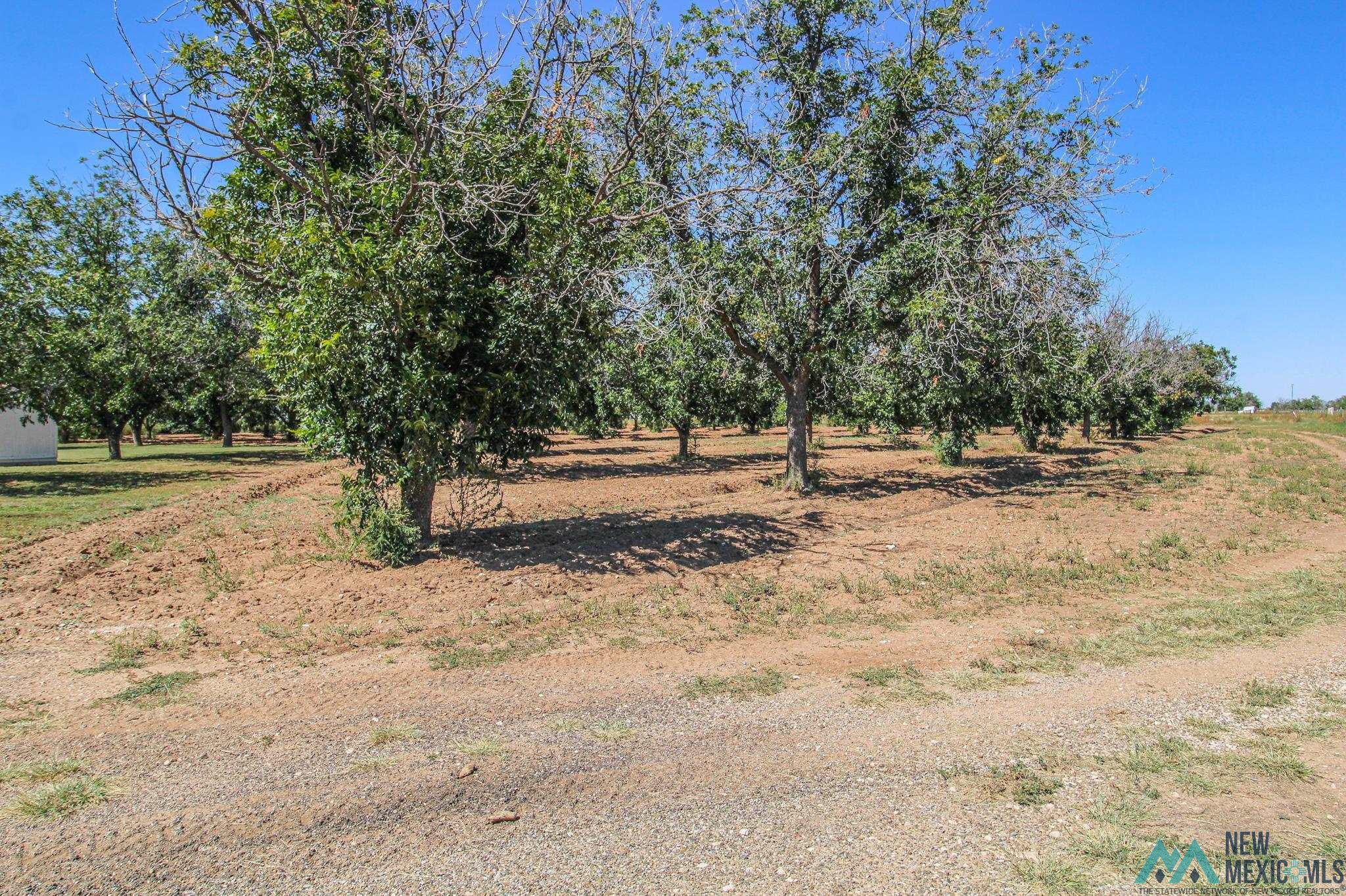 178 Nm 267, Portales, New Mexico image 8