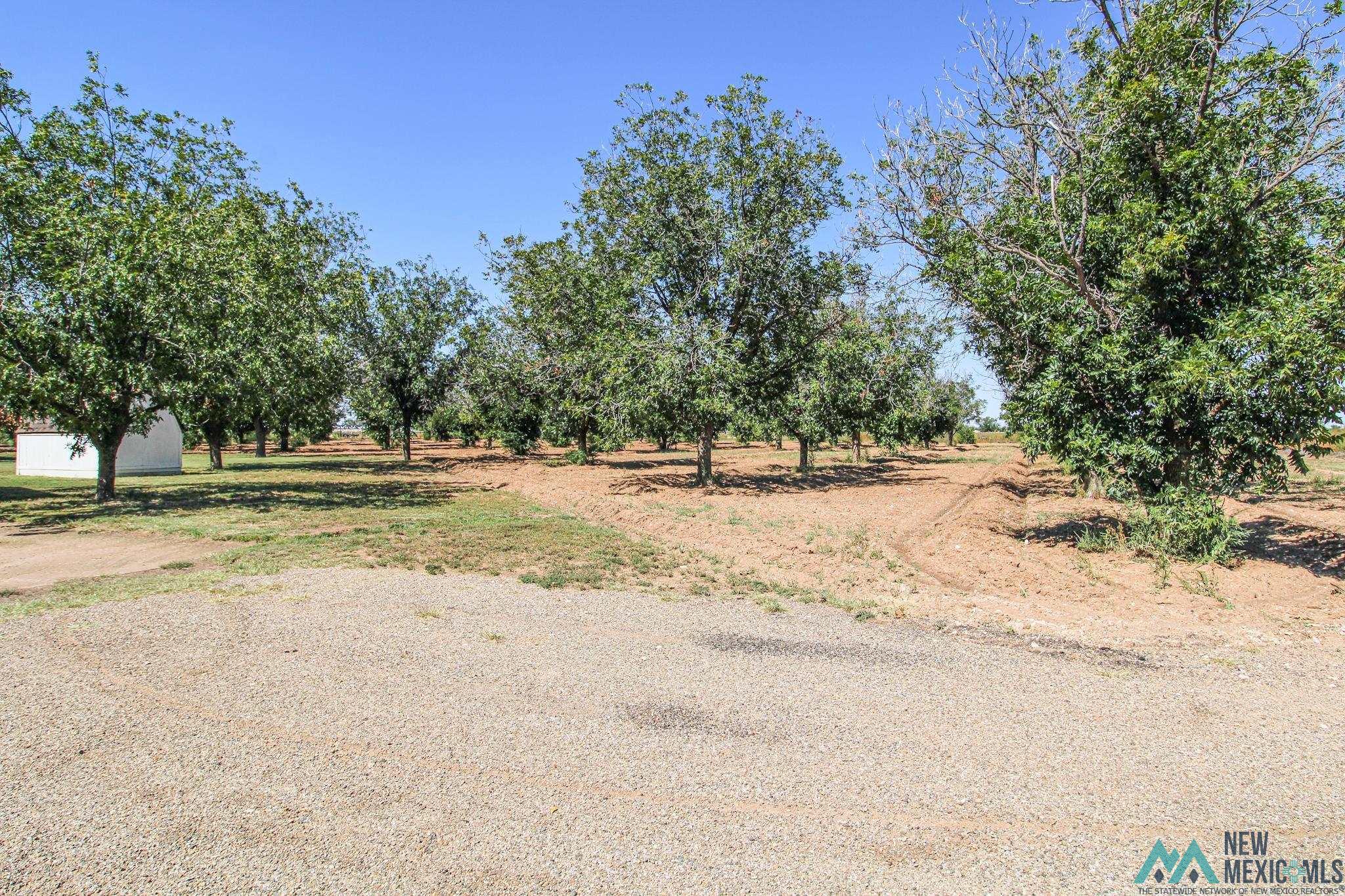 178 Nm 267, Portales, New Mexico image 7