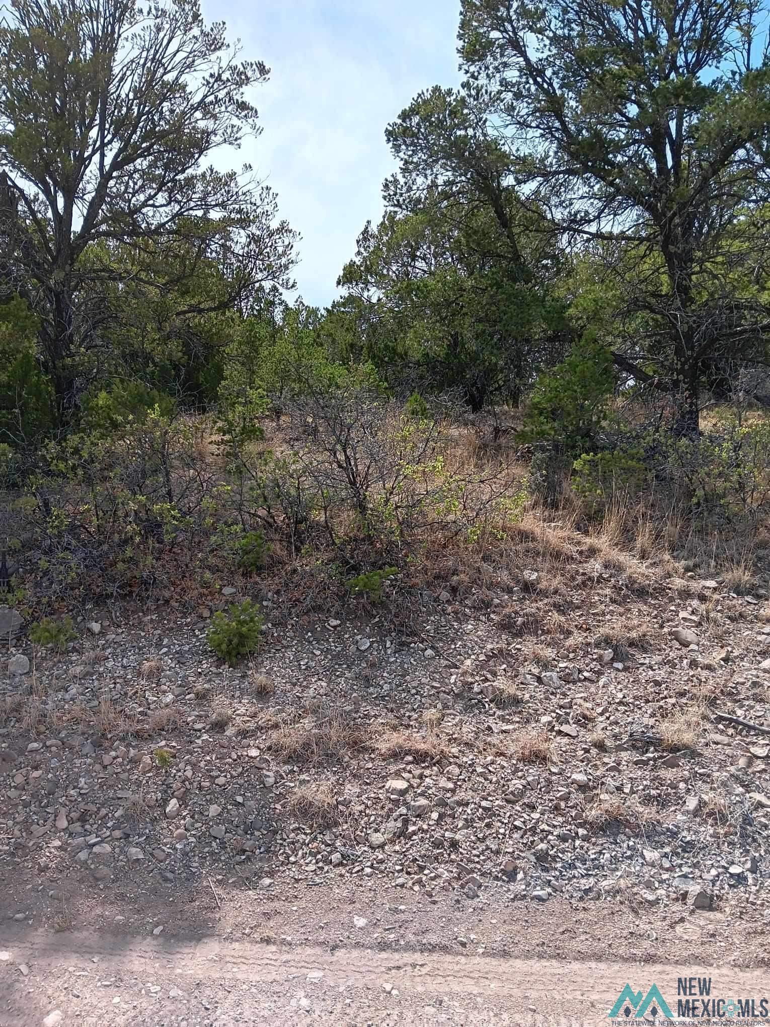 Lot 117 Wilde Street, Timberon, New Mexico image 2