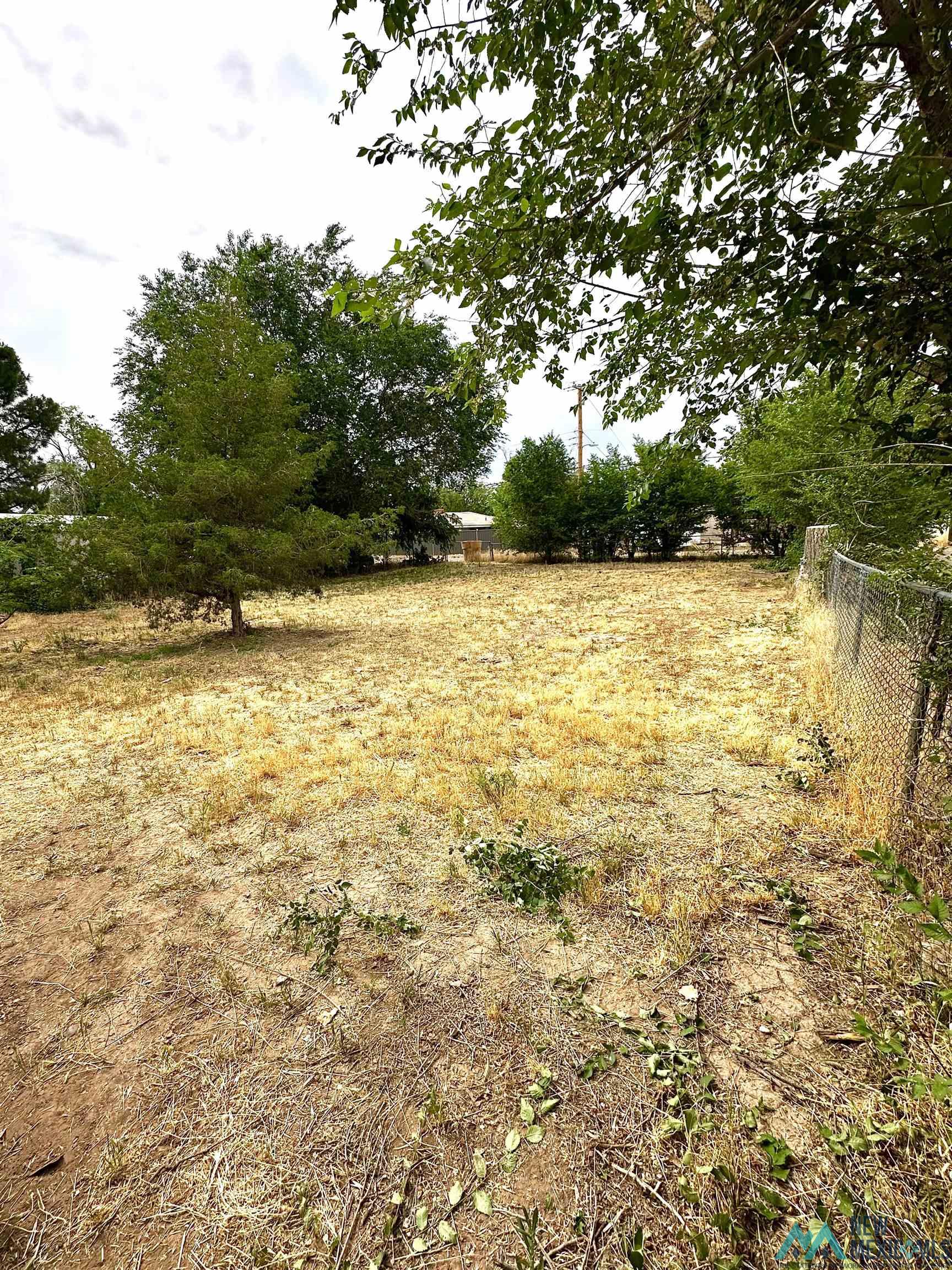 1007 W 3rd Street, Roswell, Texas image 21