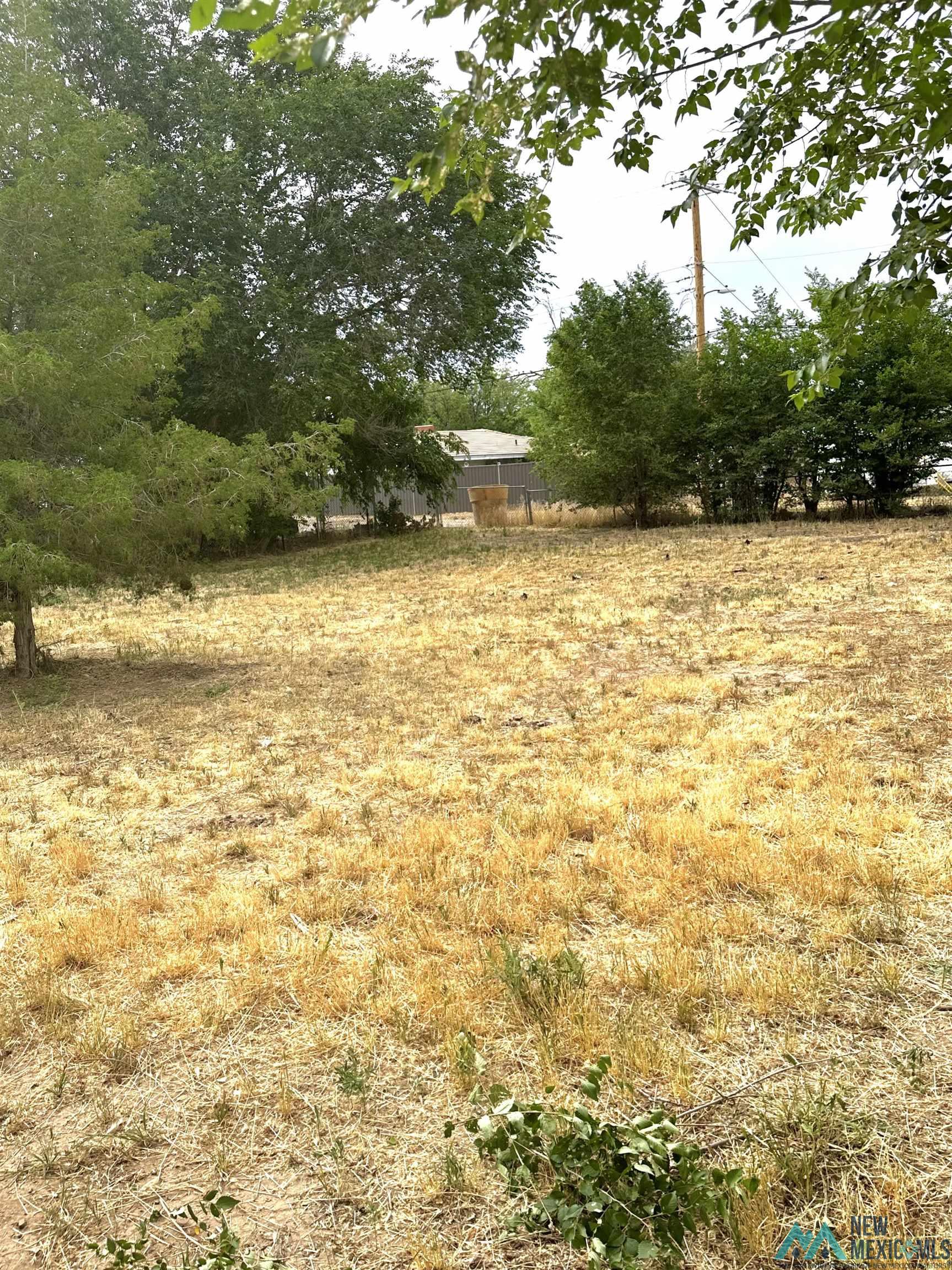 1007 W 3rd Street, Roswell, Texas image 22