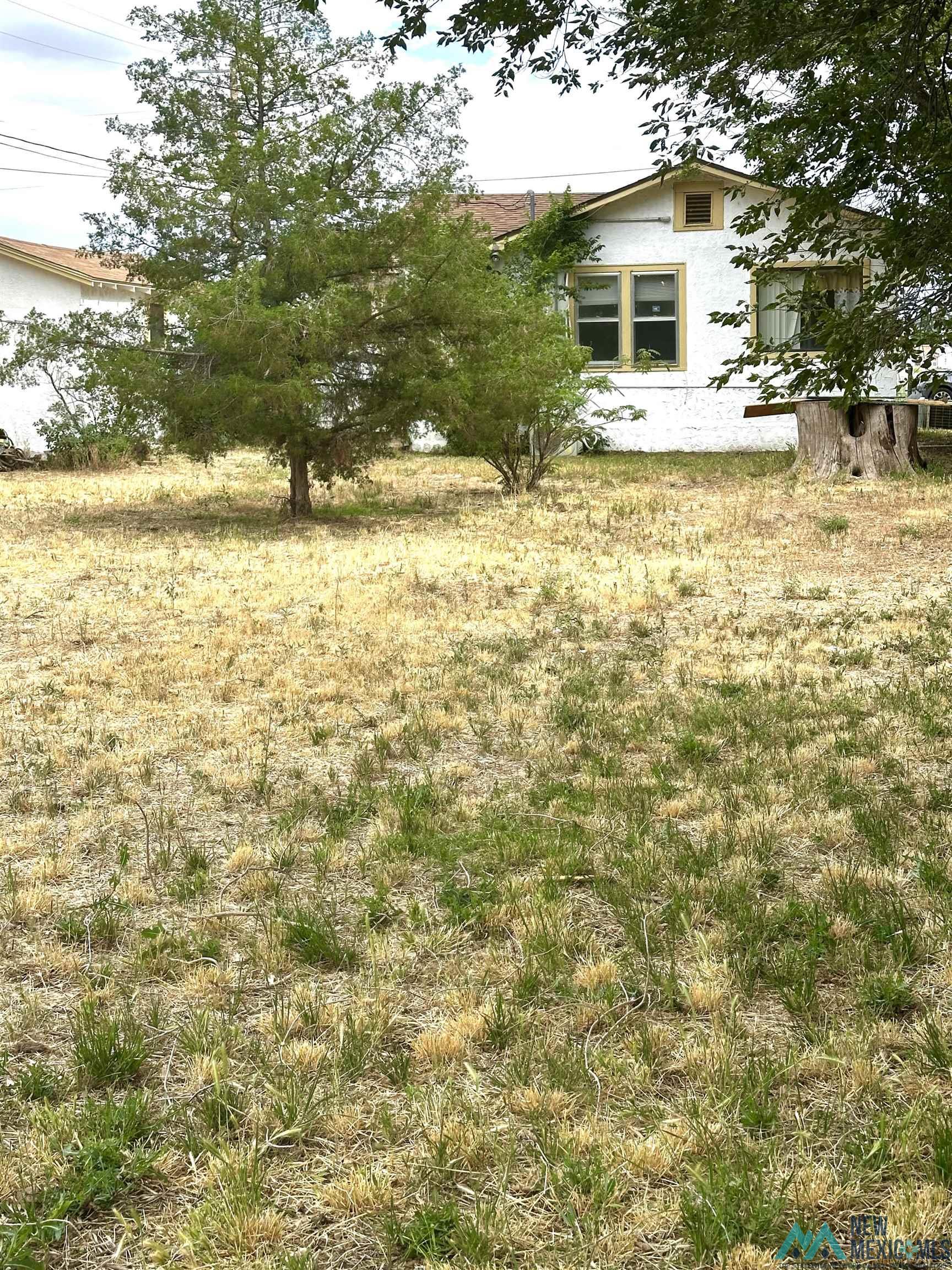 1007 W 3rd Street, Roswell, Texas image 24