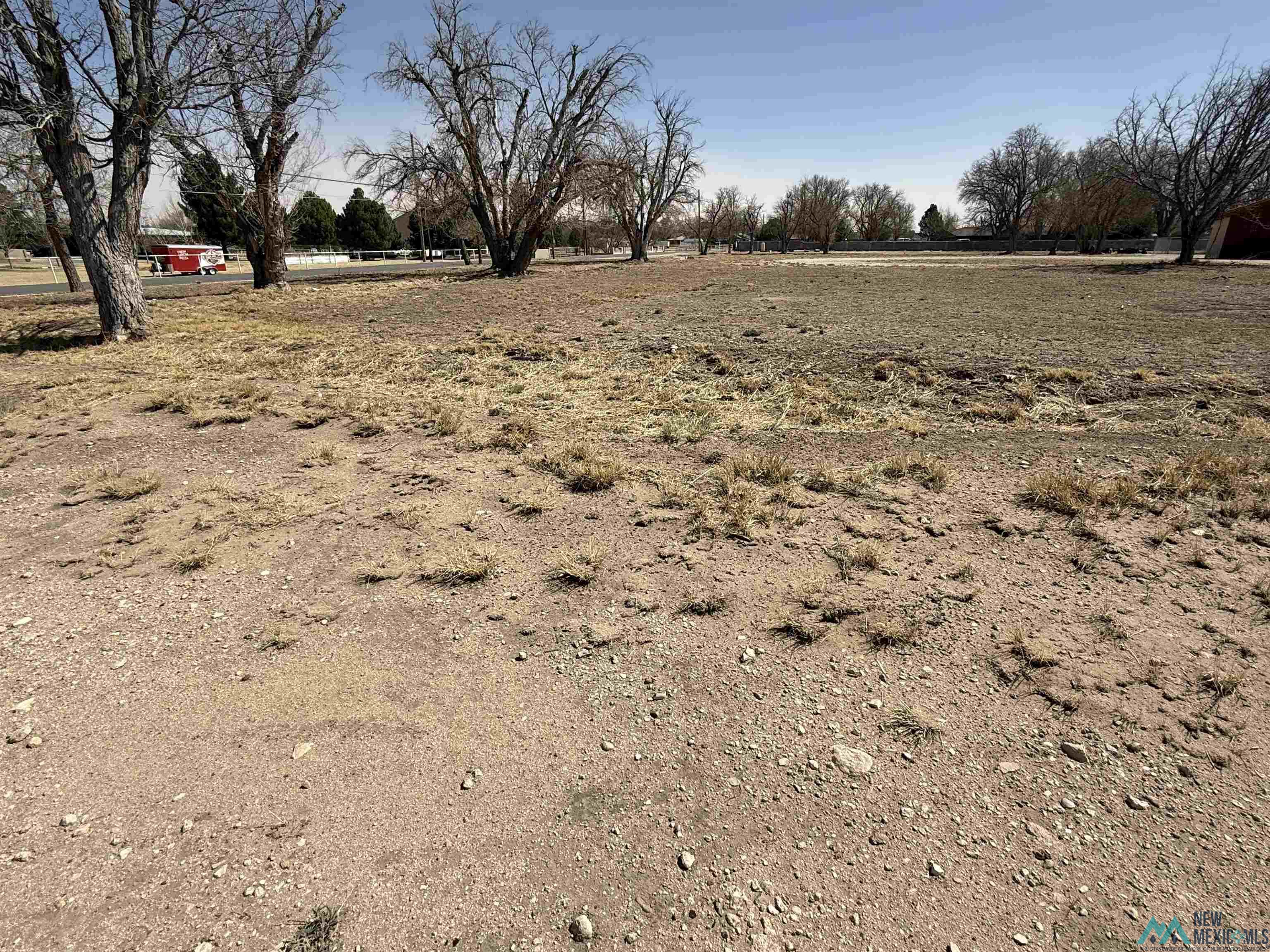 1630 N Guadalupe Street, Carlsbad, New Mexico image 5