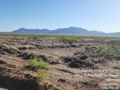 Vacant Land For Sale - 00 Country Lane<br/> Luna County, Deming, NM 88030
